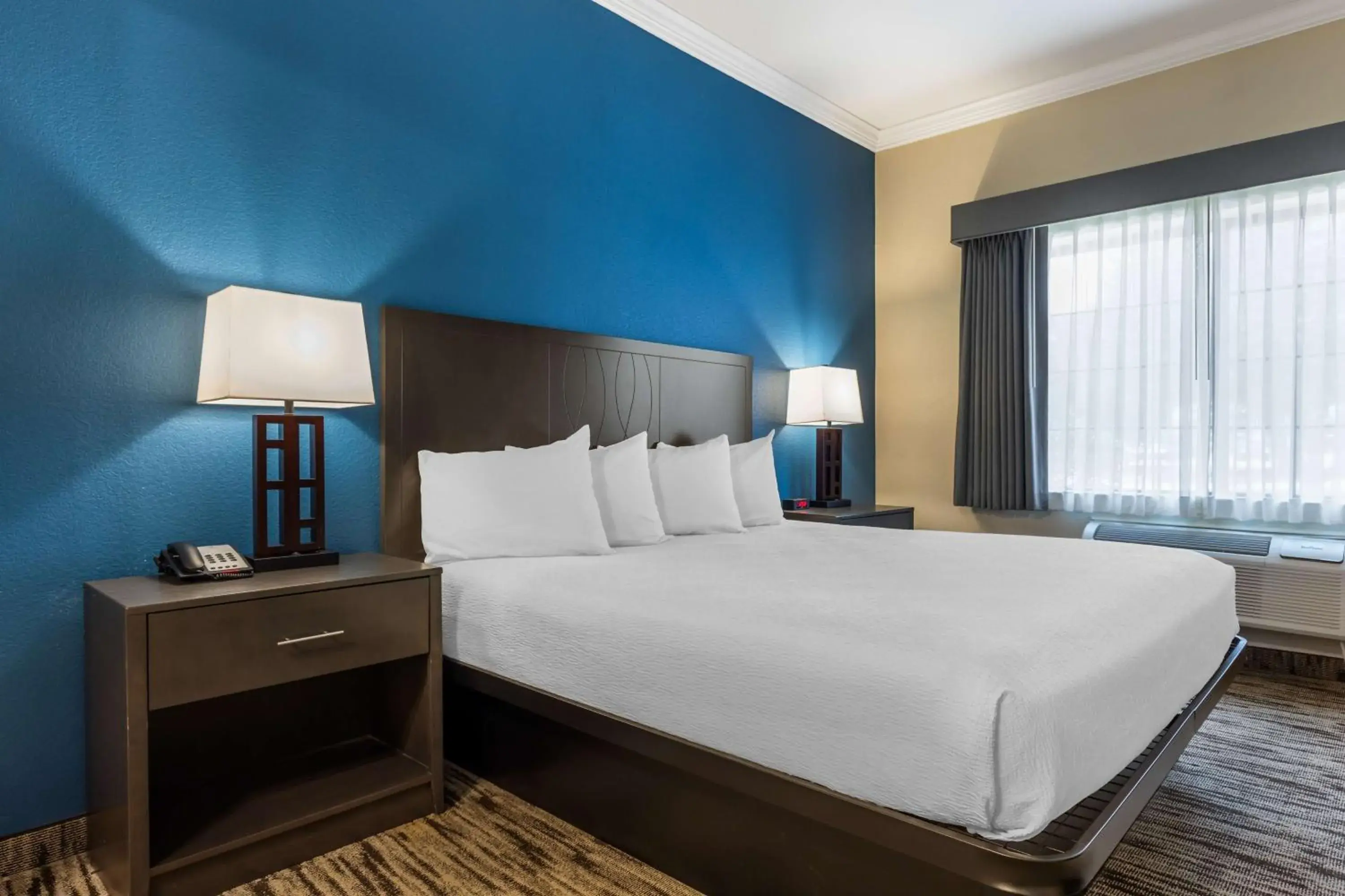 King Suite with Bath Tub - Mobility Accessible in Best Western Dinosaur Valley Inn & Suites King Suite with Bath Tub - Mobility Accessible in Best Western Dinosaur Valley Inn & Suites