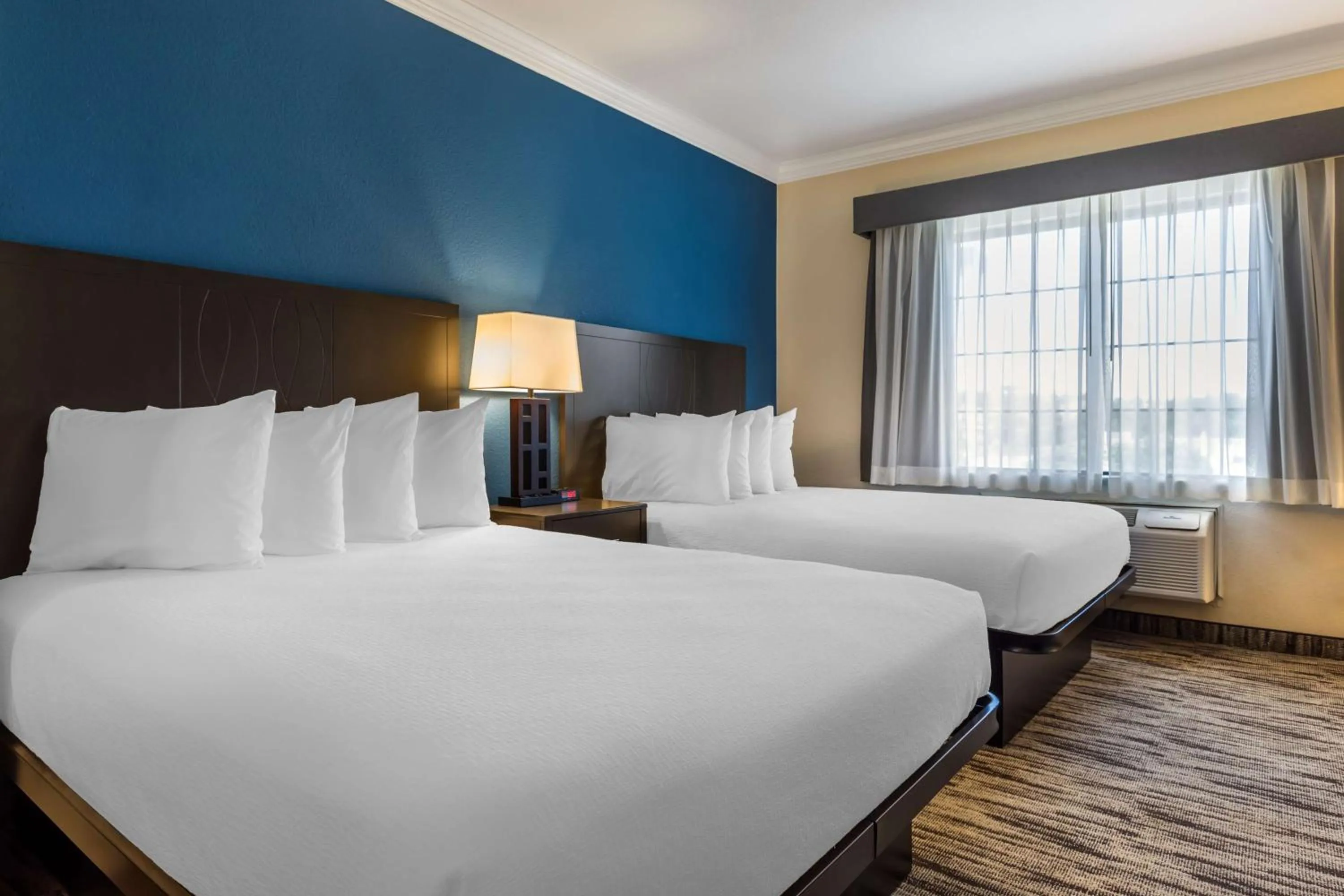 Photo of the whole room, Bed in Best Western Dinosaur Valley Inn & Suites