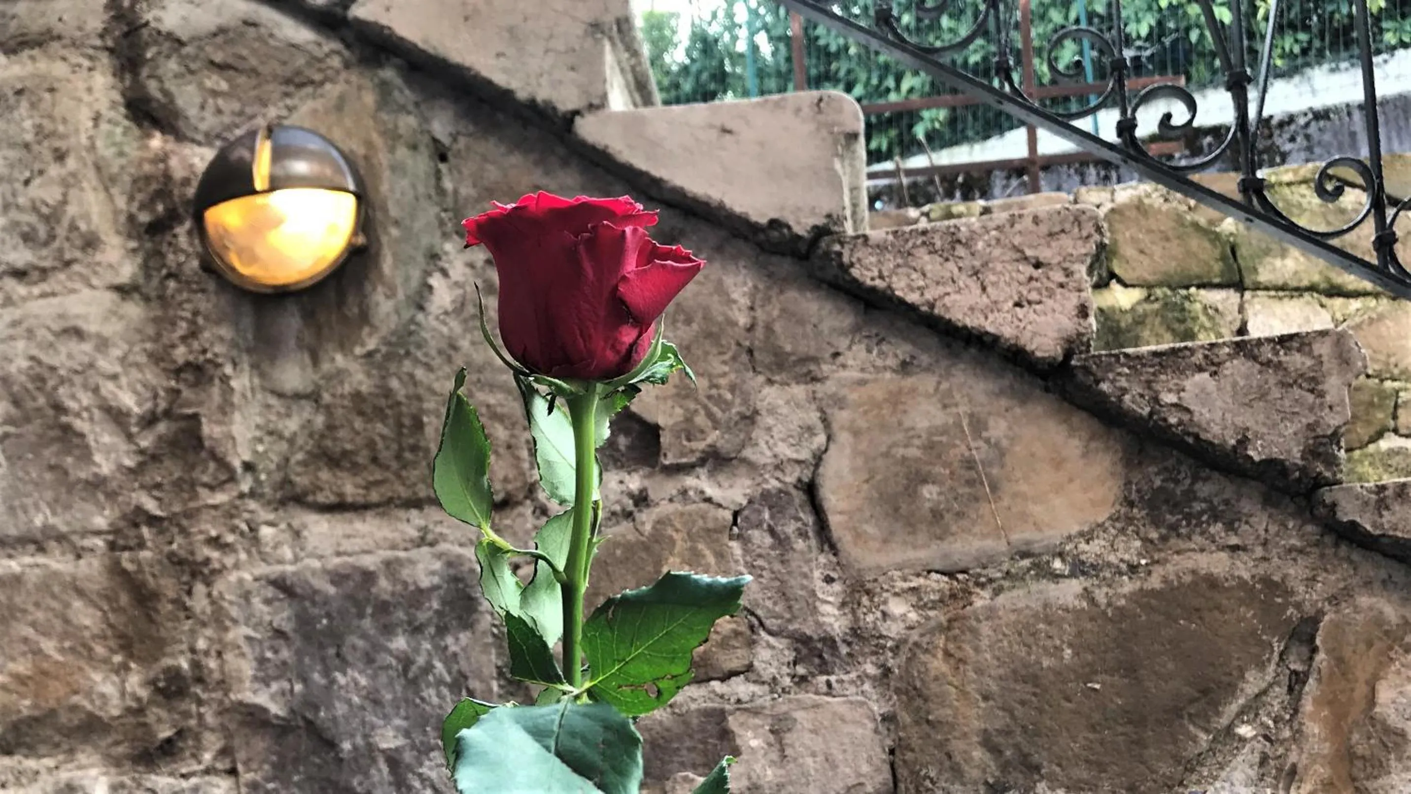 Garden in Vila Burbonka