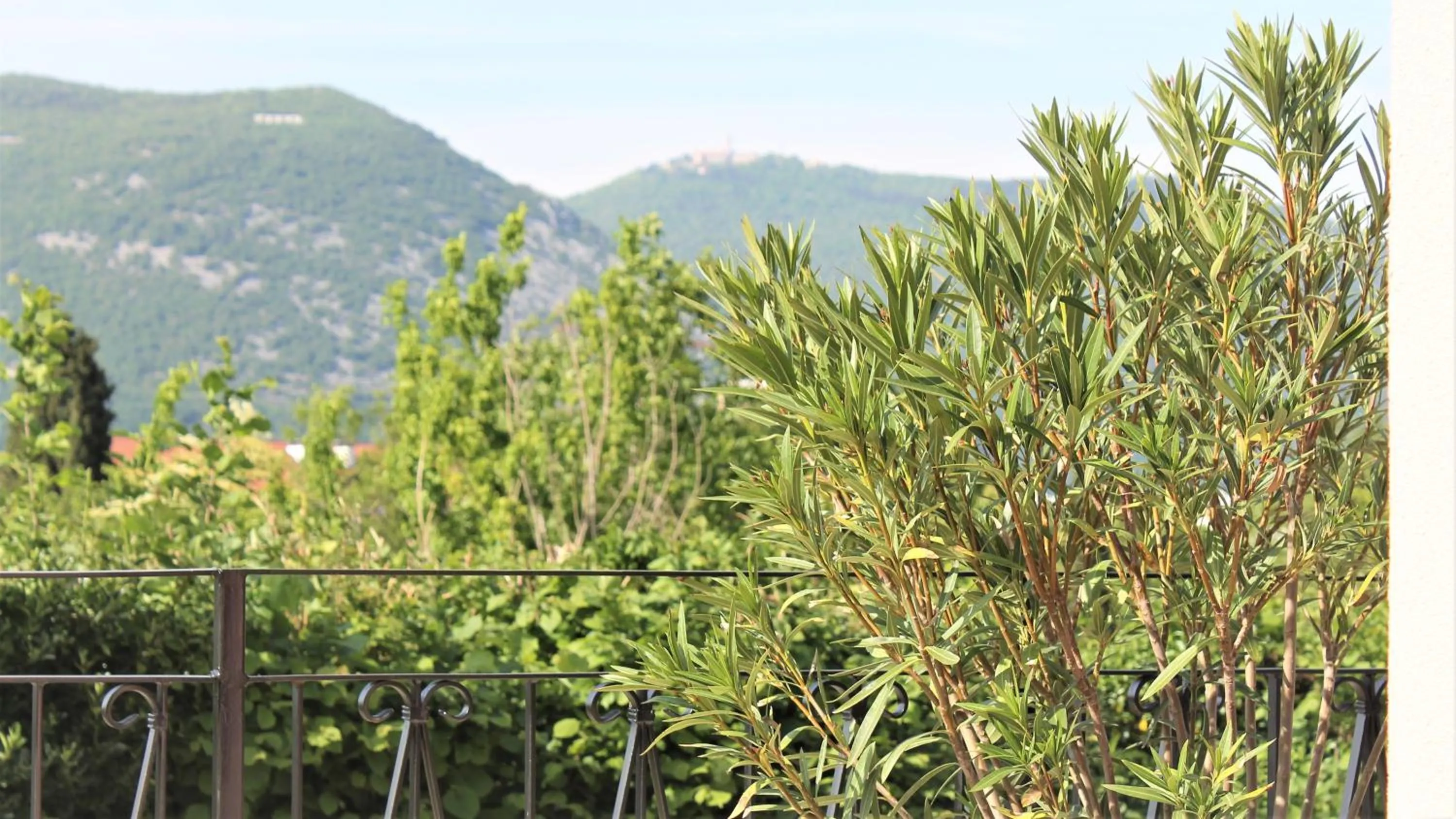 View (from property/room) in Vila Burbonka