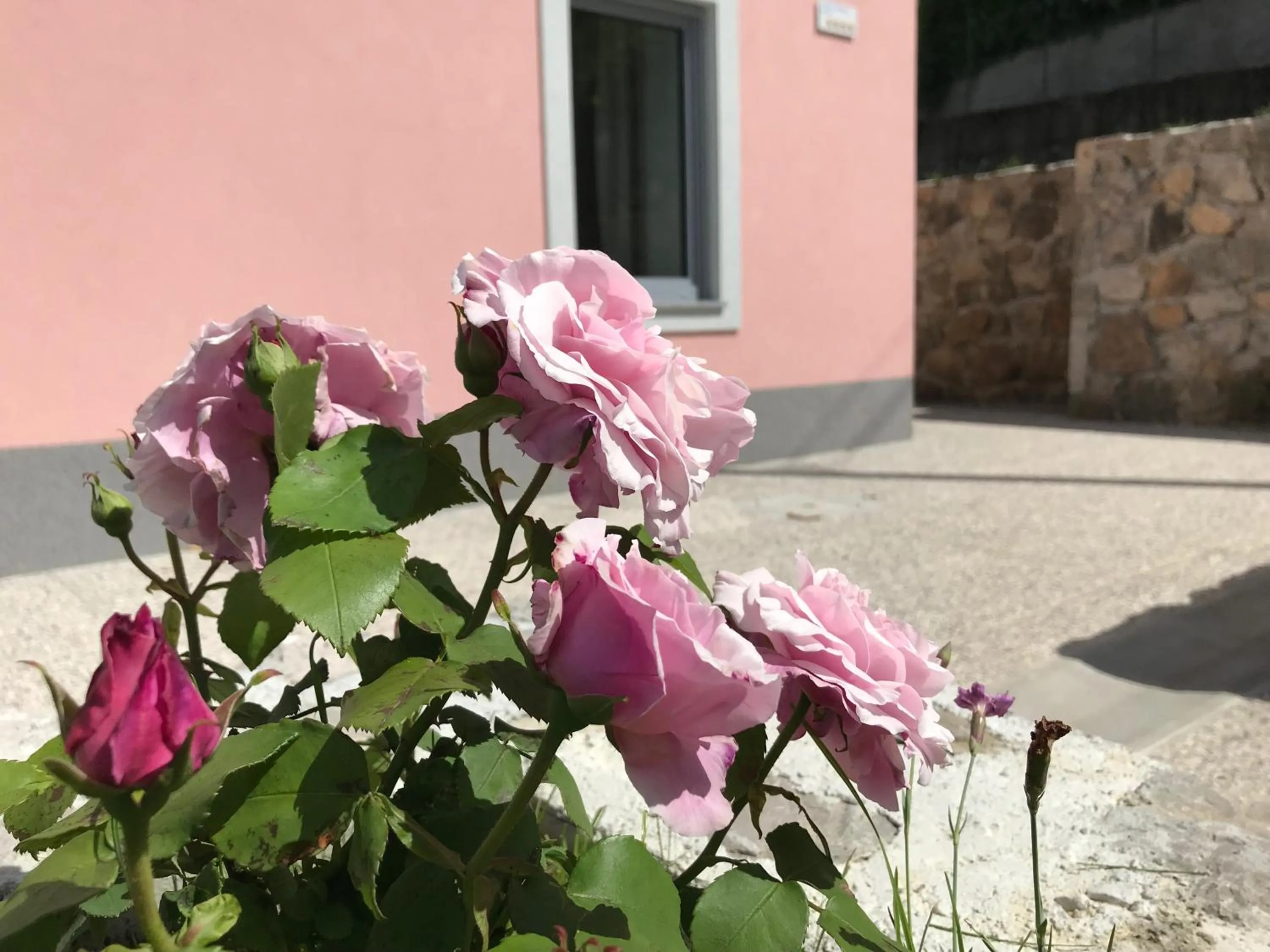 Patio in Vila Burbonka