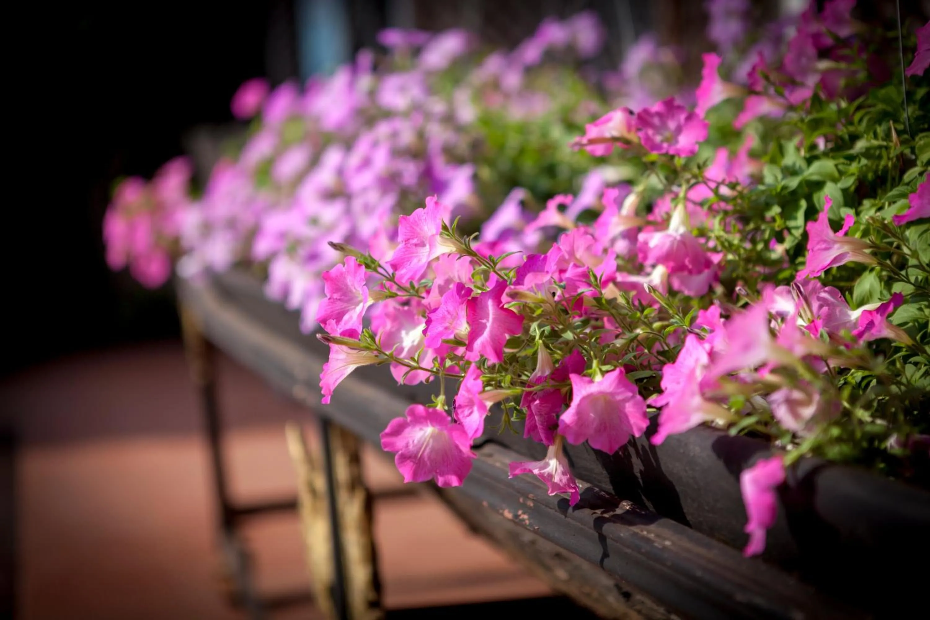 Neighbourhood in Chandara Boutique Hotel