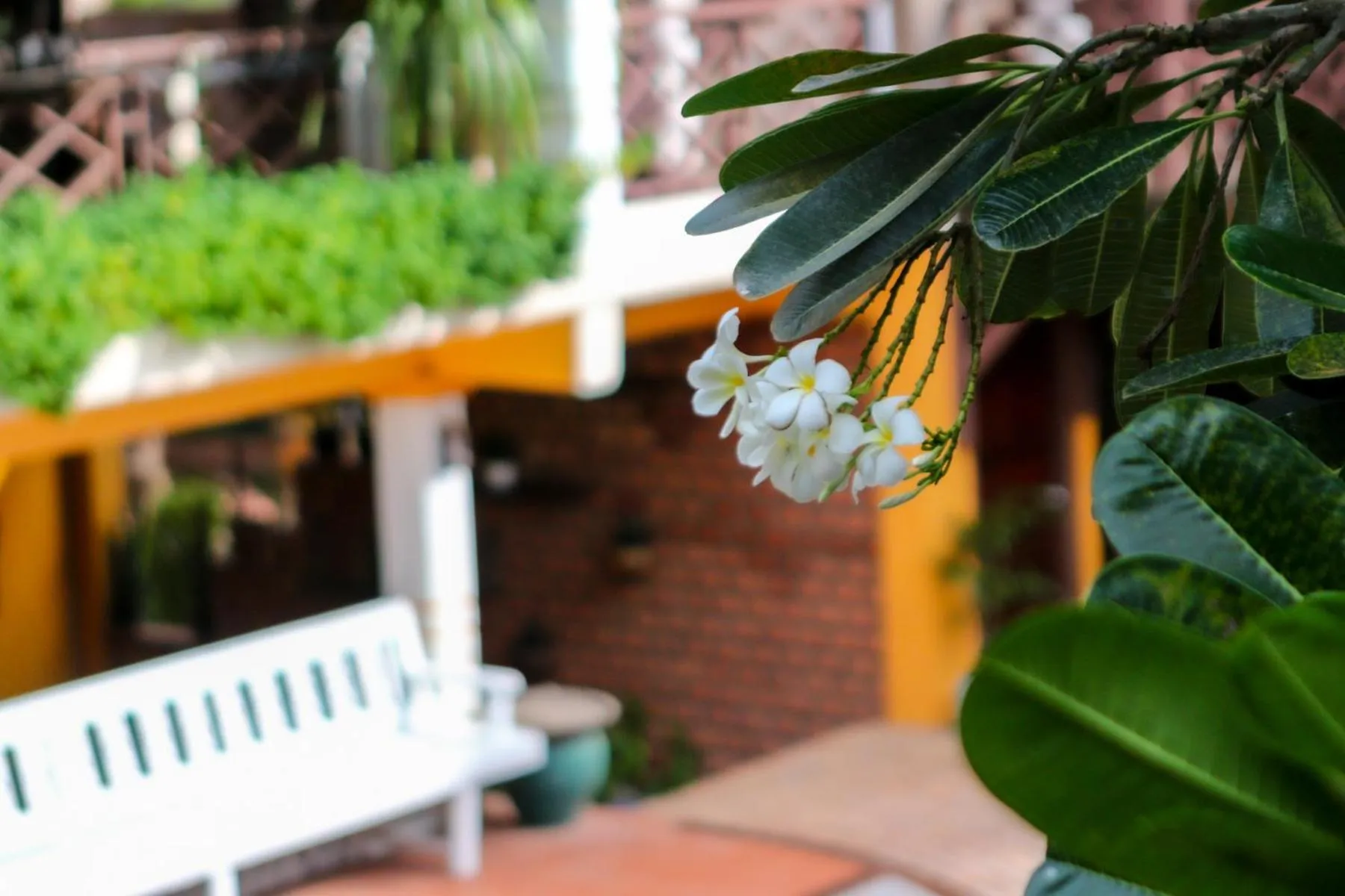 View (from property/room) in Chandara Boutique Hotel