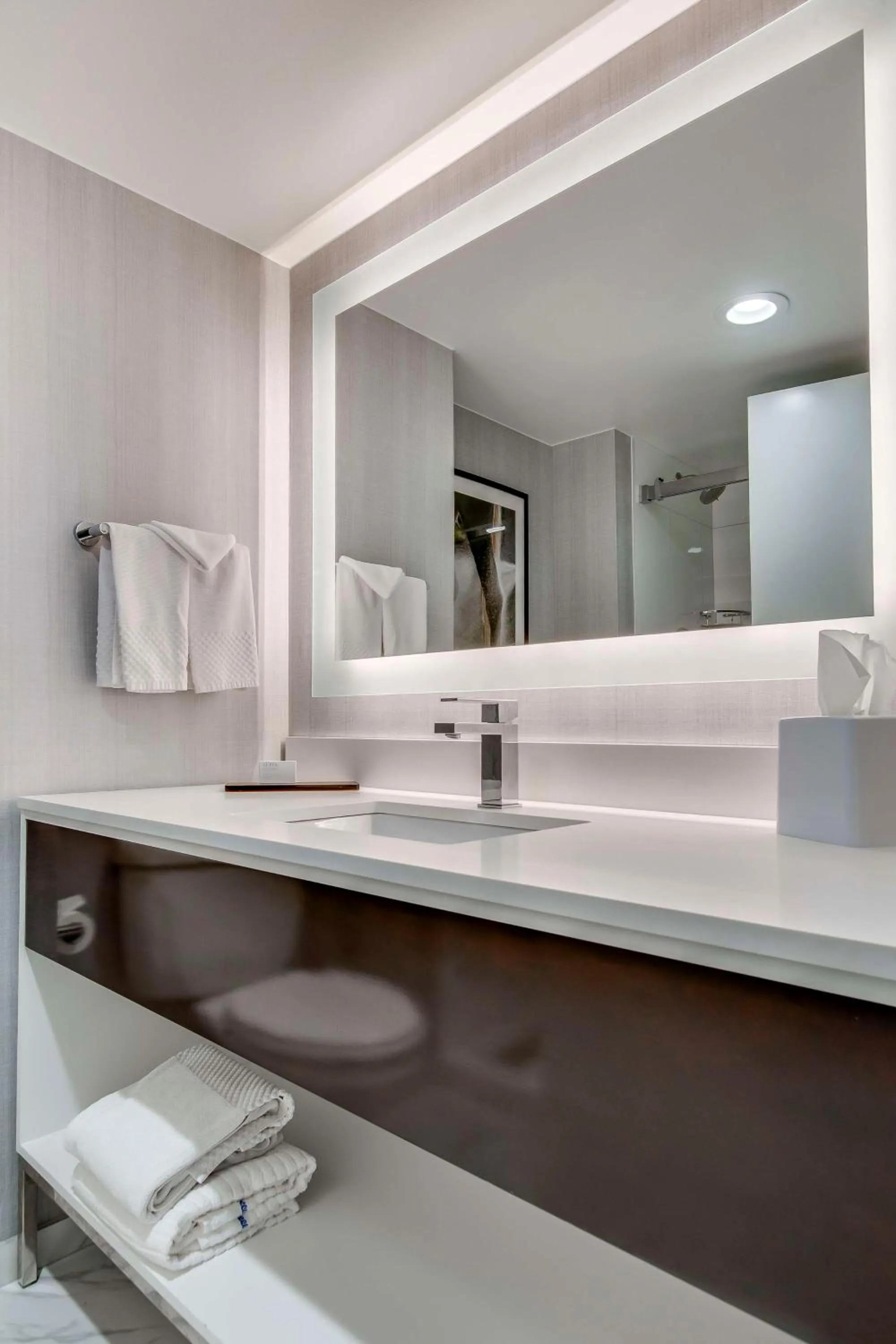 Bathroom in Embassy Suites by Hilton Louisville East