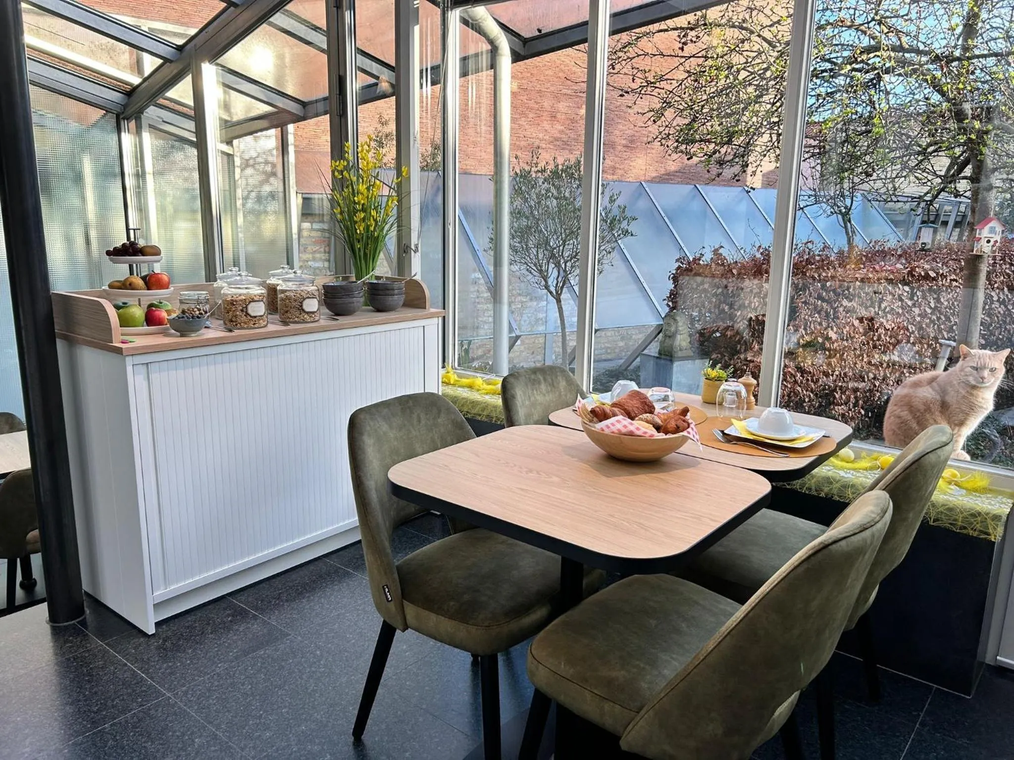 Breakfast in B&B Contrast