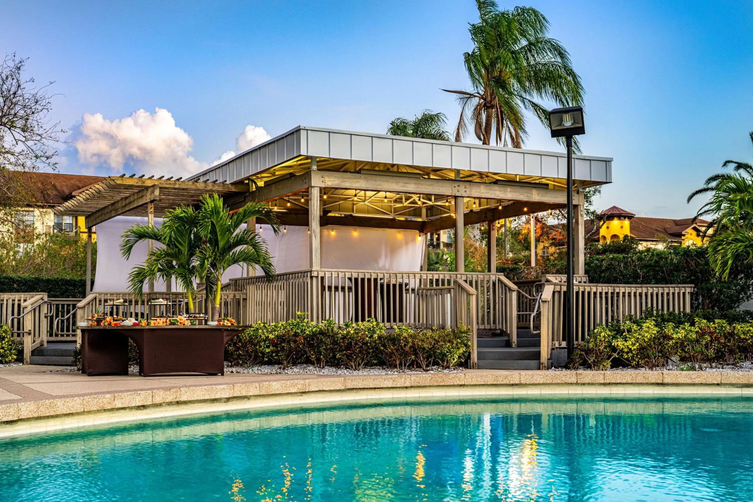 Pool view in Hilton Tampa Airport Westshore