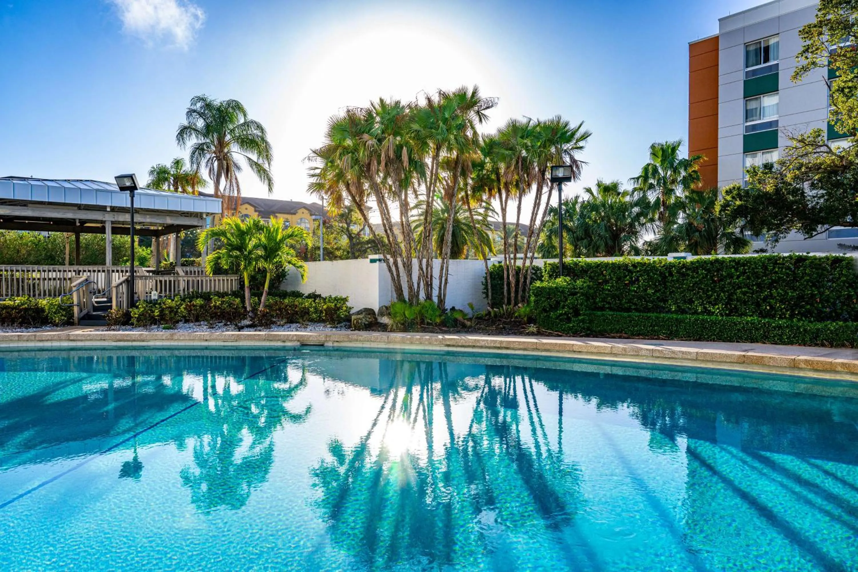 Pool view in Hilton Tampa Airport Westshore