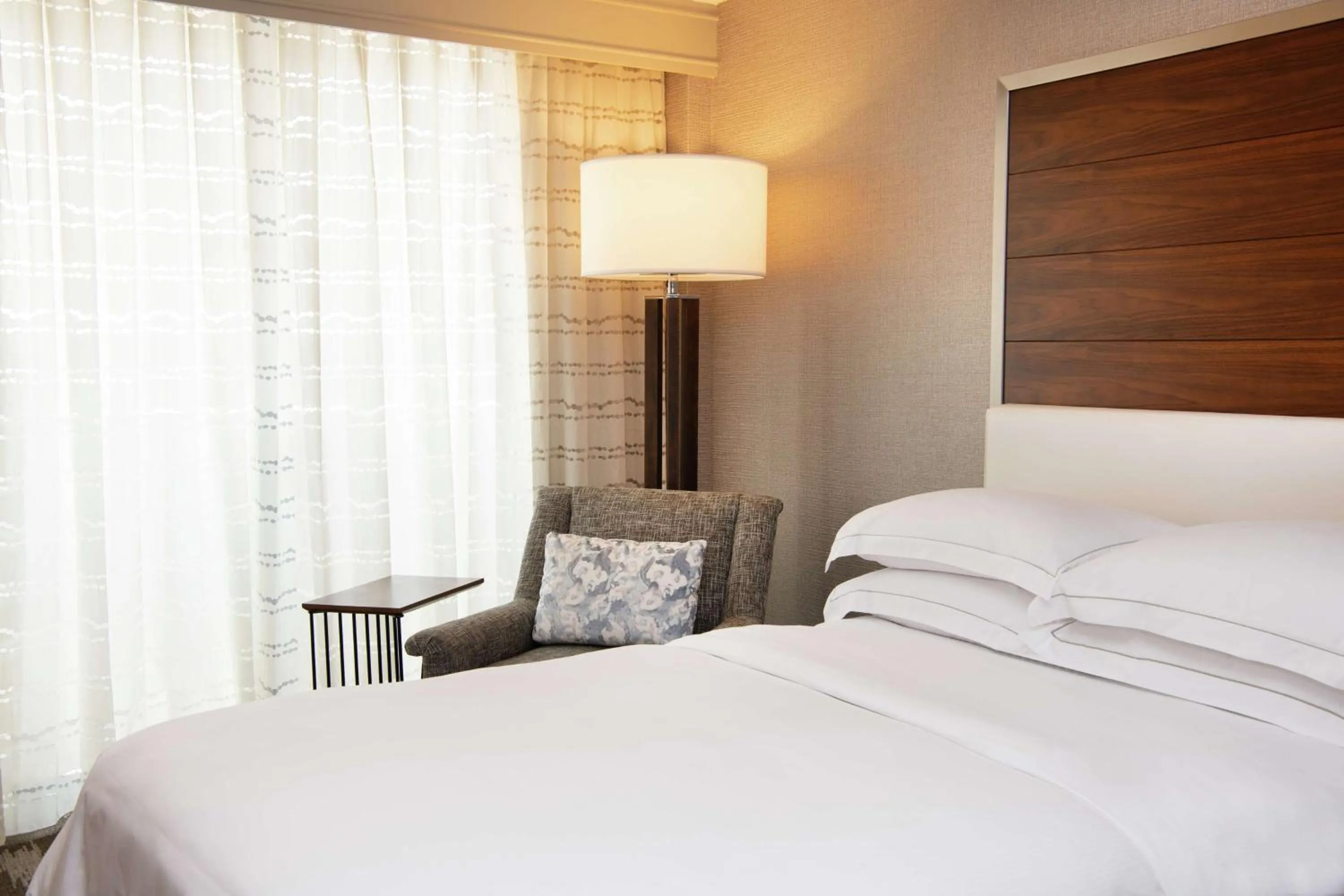 Bed in Hilton Tampa Airport Westshore