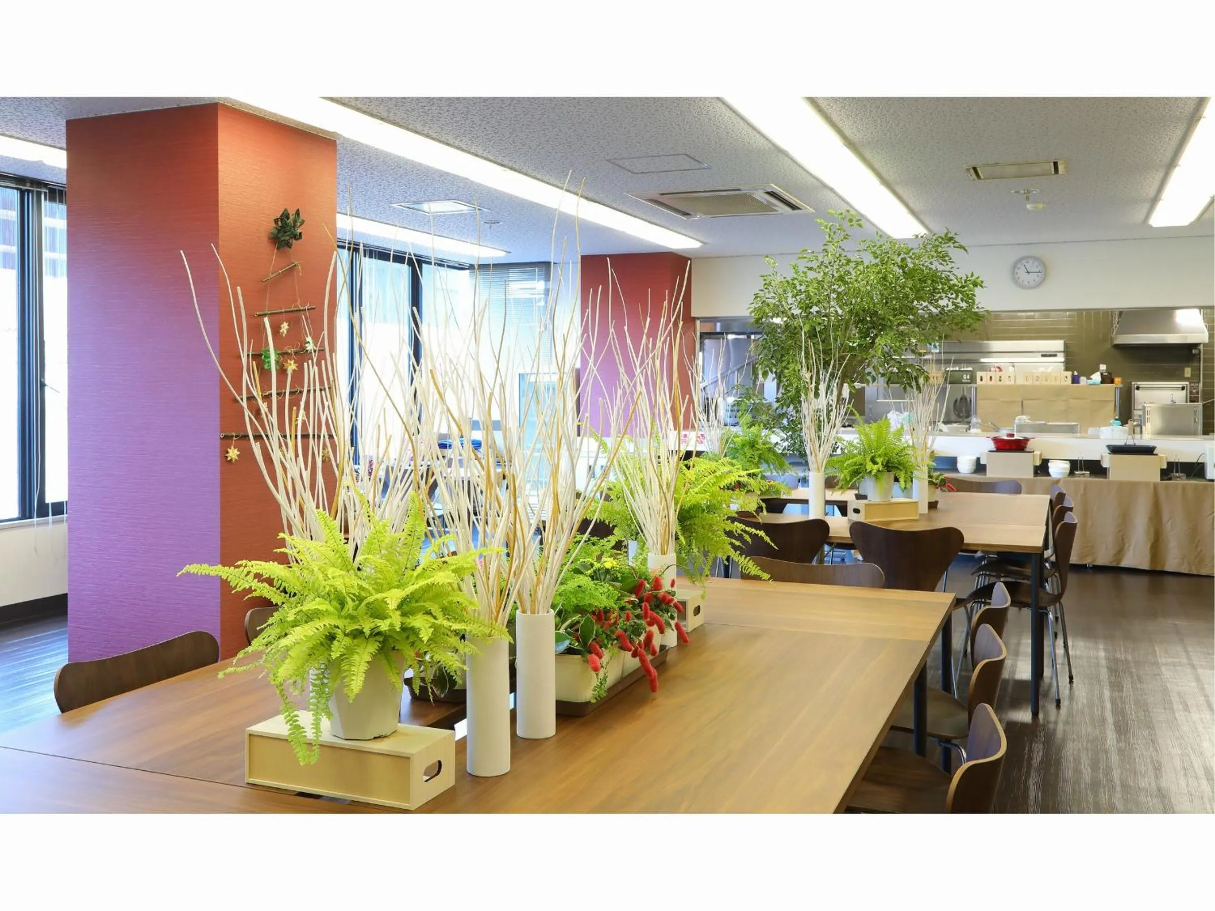 Restaurant/places to eat in Comfort stay Miyabi