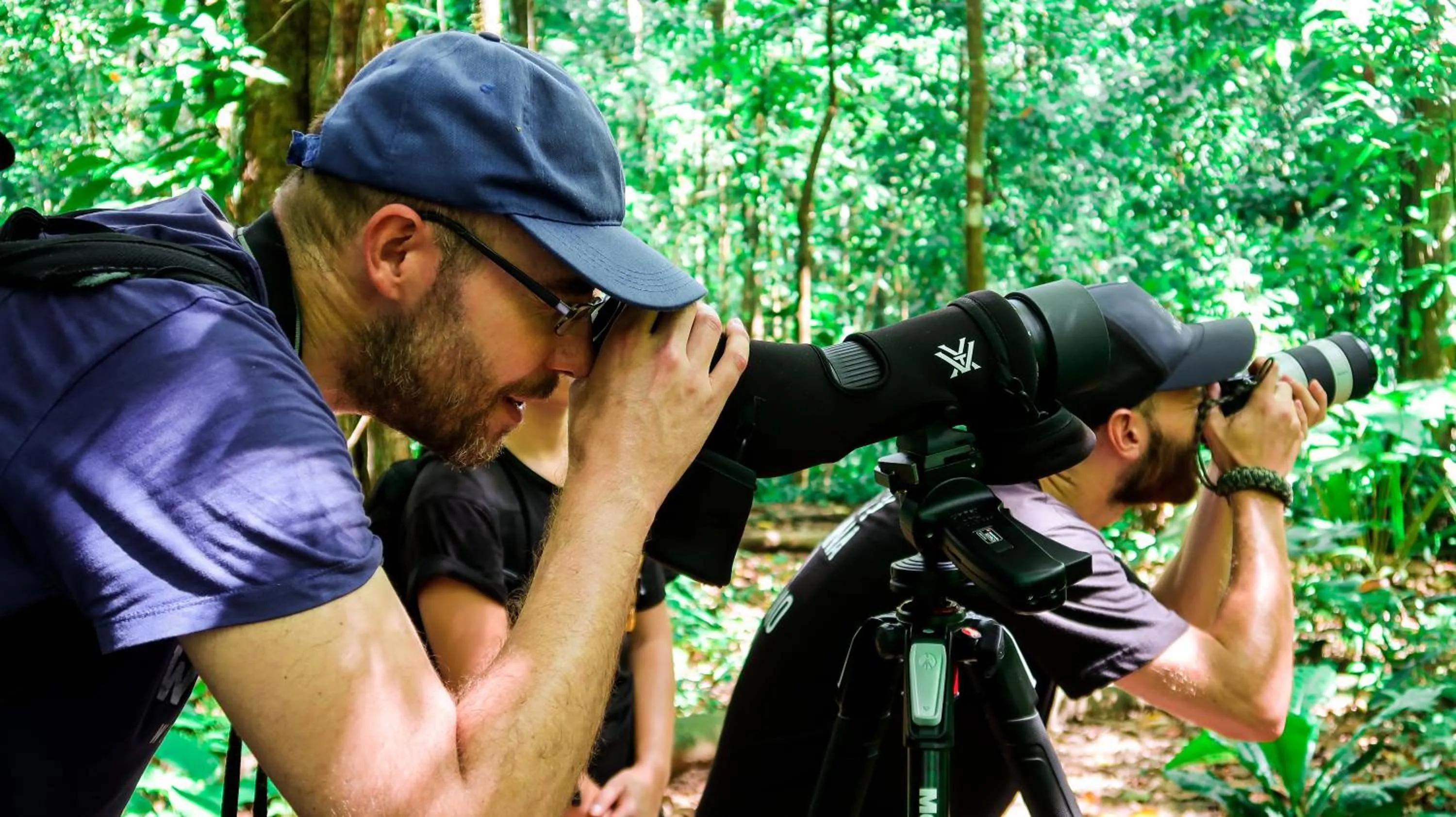Activities in Hotel Hoja de Oro Corcovado