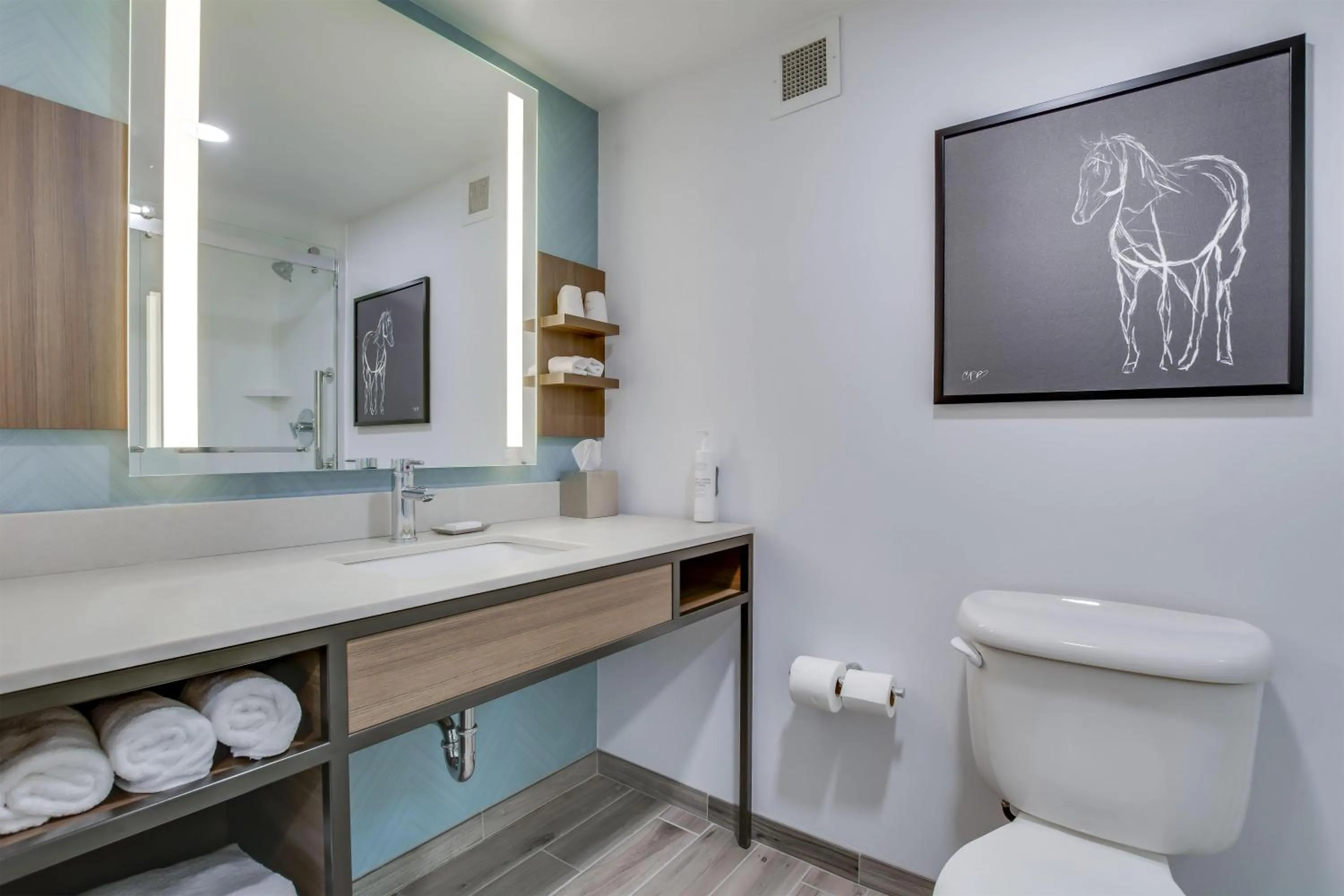 Bathroom in Hilton Garden Inn Louisville Airport