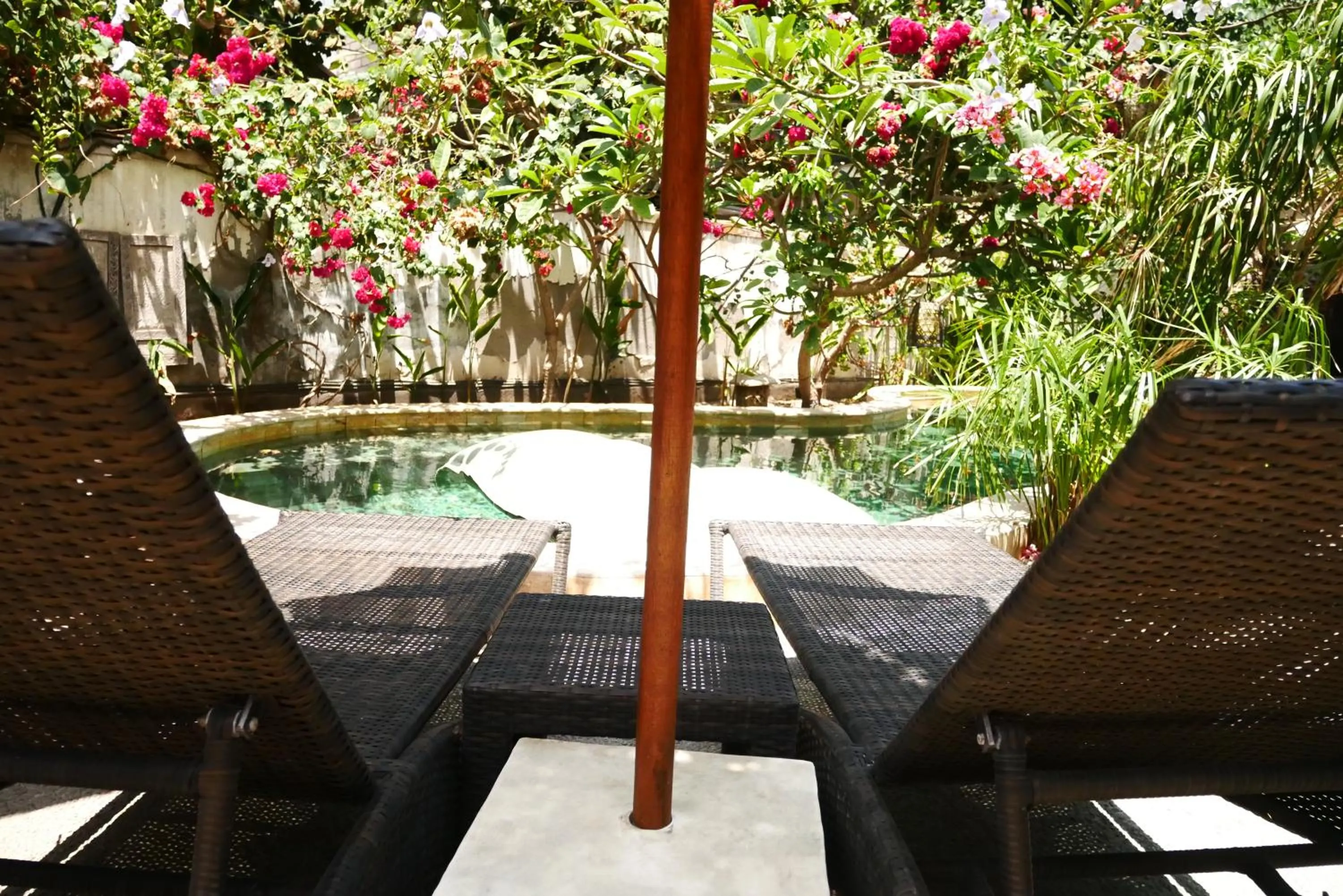 Garden in Kalua Boutique Bungalows