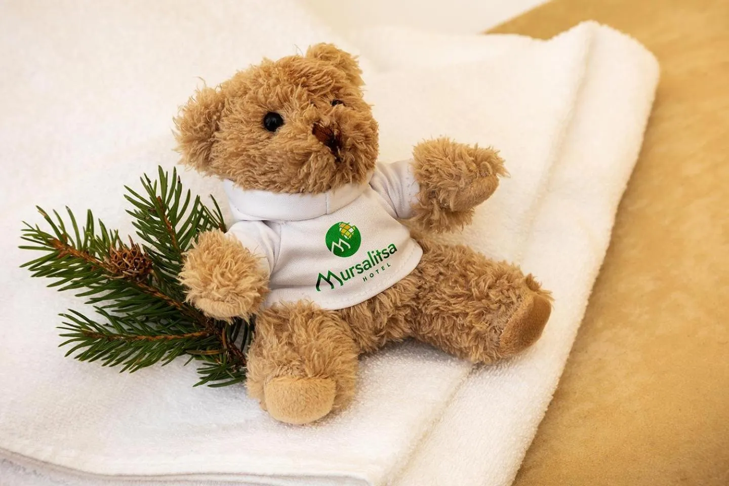 Property logo or sign in Hotel Mursalitsa by HMG - Half board