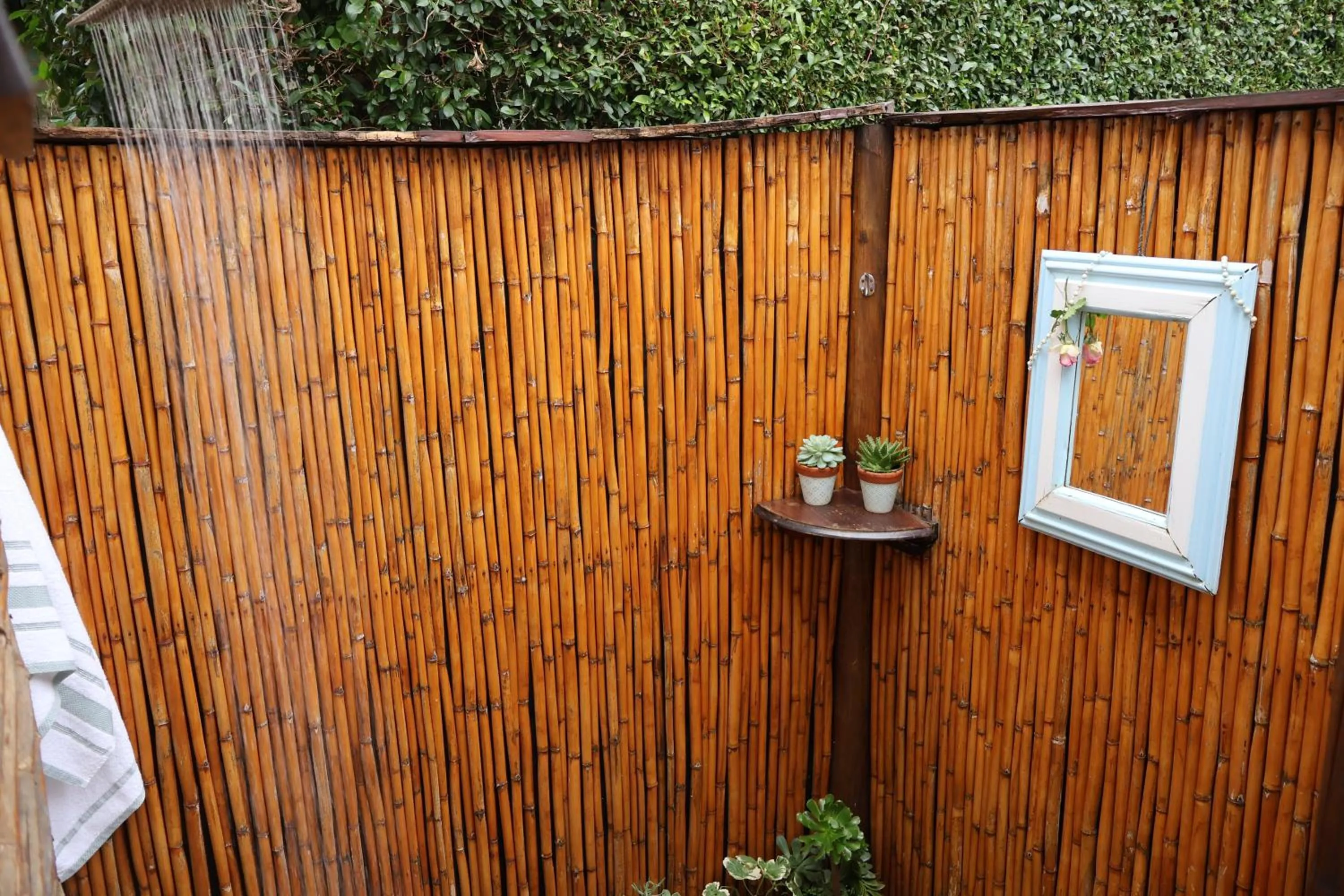 Shower in Aalkie's Dream