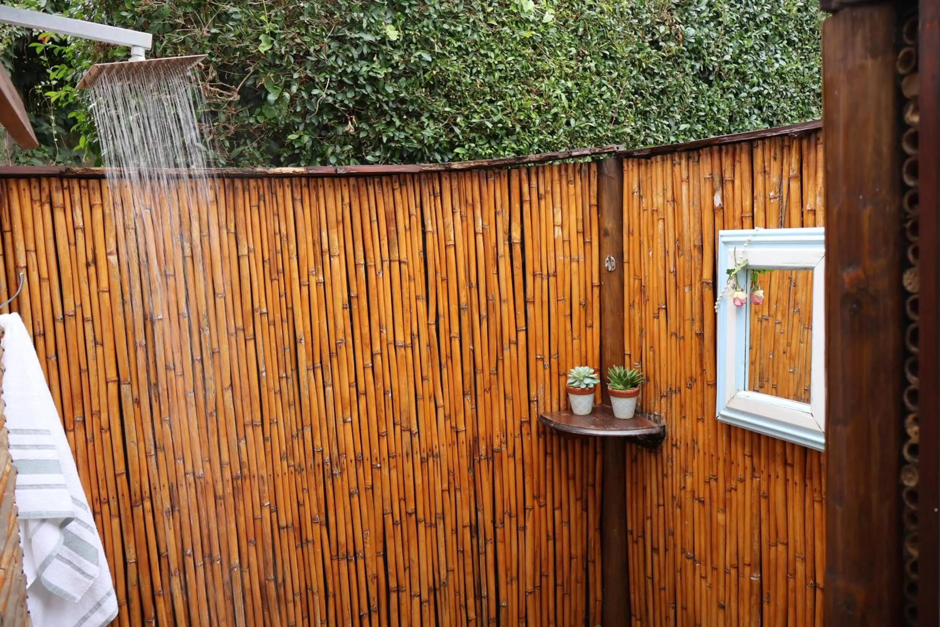 Shower in Aalkie's Dream