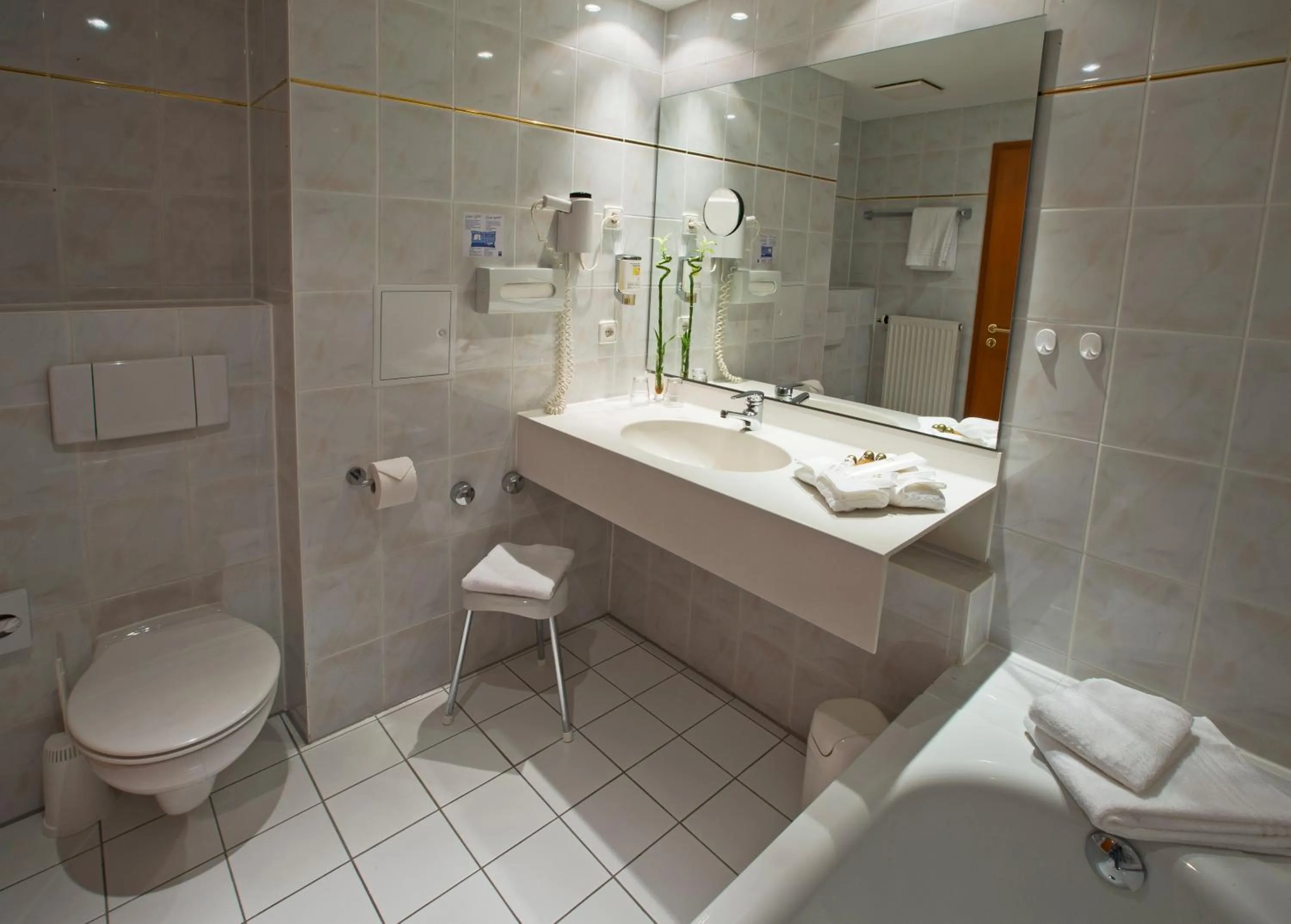 Toilet in Alpina Lodge Hotel Oberwiesenthal