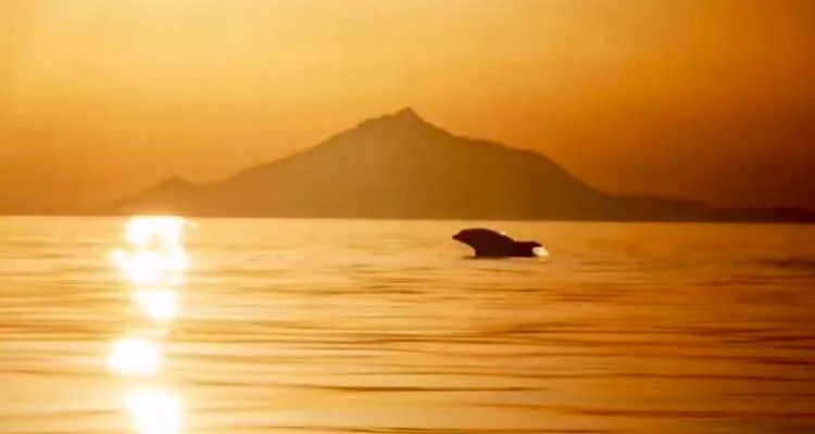 Natural landscape in Afrodite Hotel Apartments