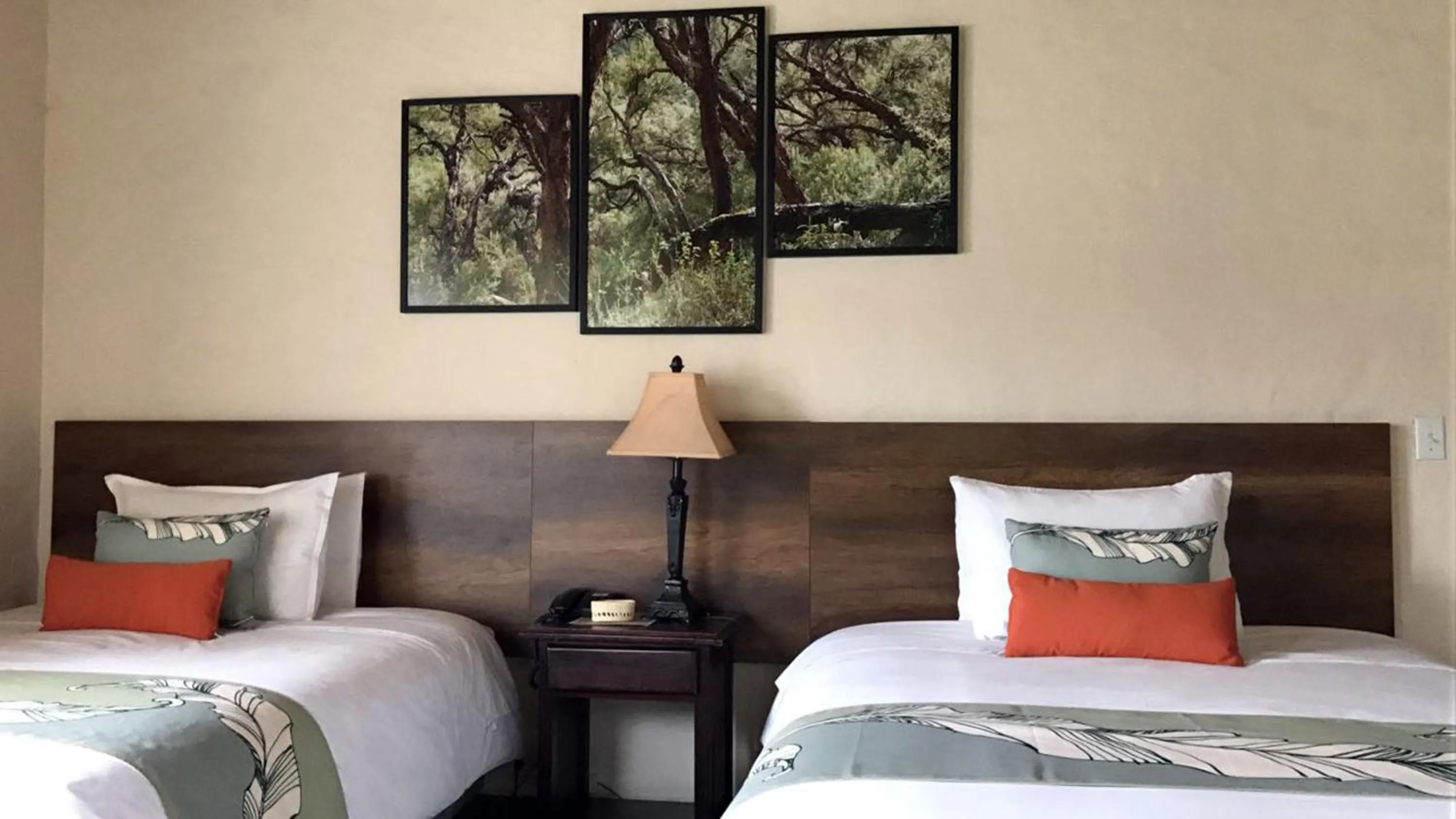 Photo of the whole room, Bed in Termas de Papallacta