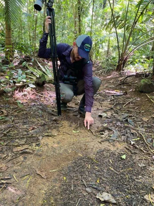 Tirimbina Rainforest Lodge