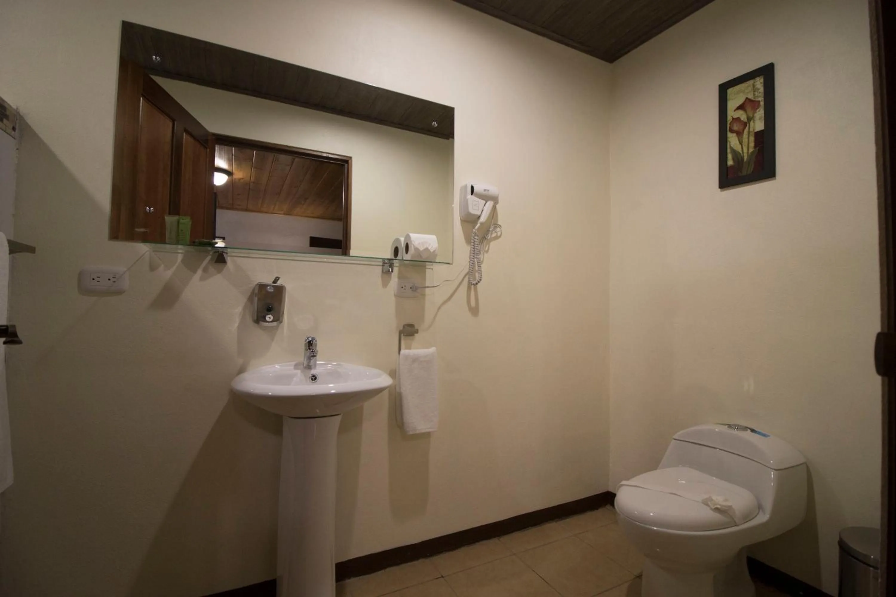 Bathroom in Tirimbina Rainforest Lodge