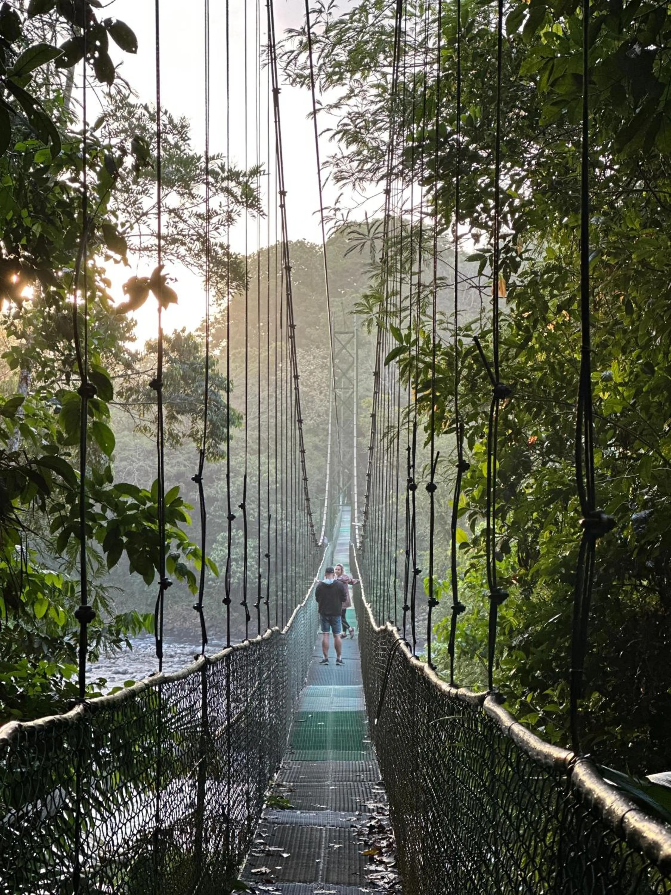 Tirimbina Rainforest Lodge