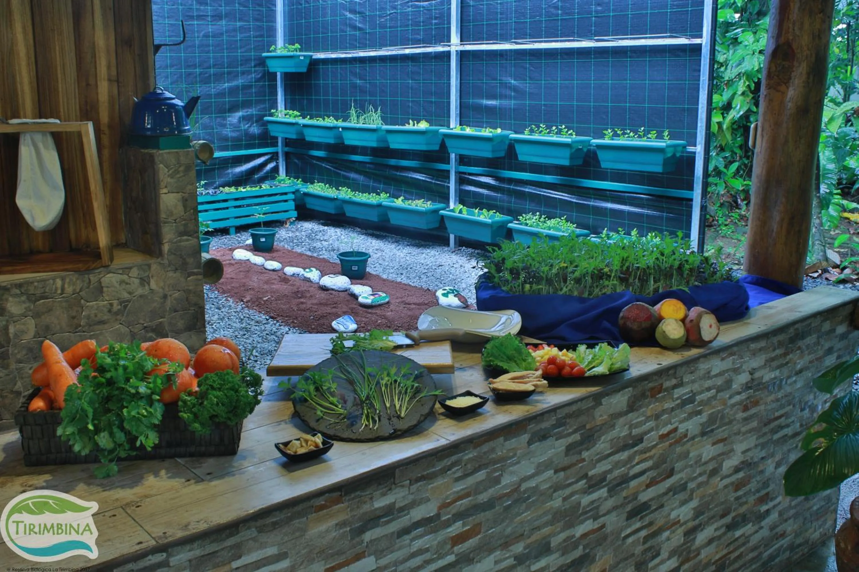 Restaurant/places to eat in Tirimbina Rainforest Lodge