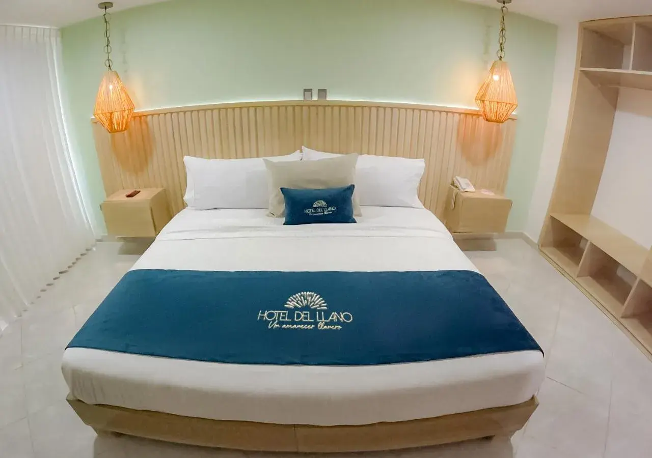 Deluxe Double Room in Hotel del Llano Deluxe Double Room in Hotel del Llano