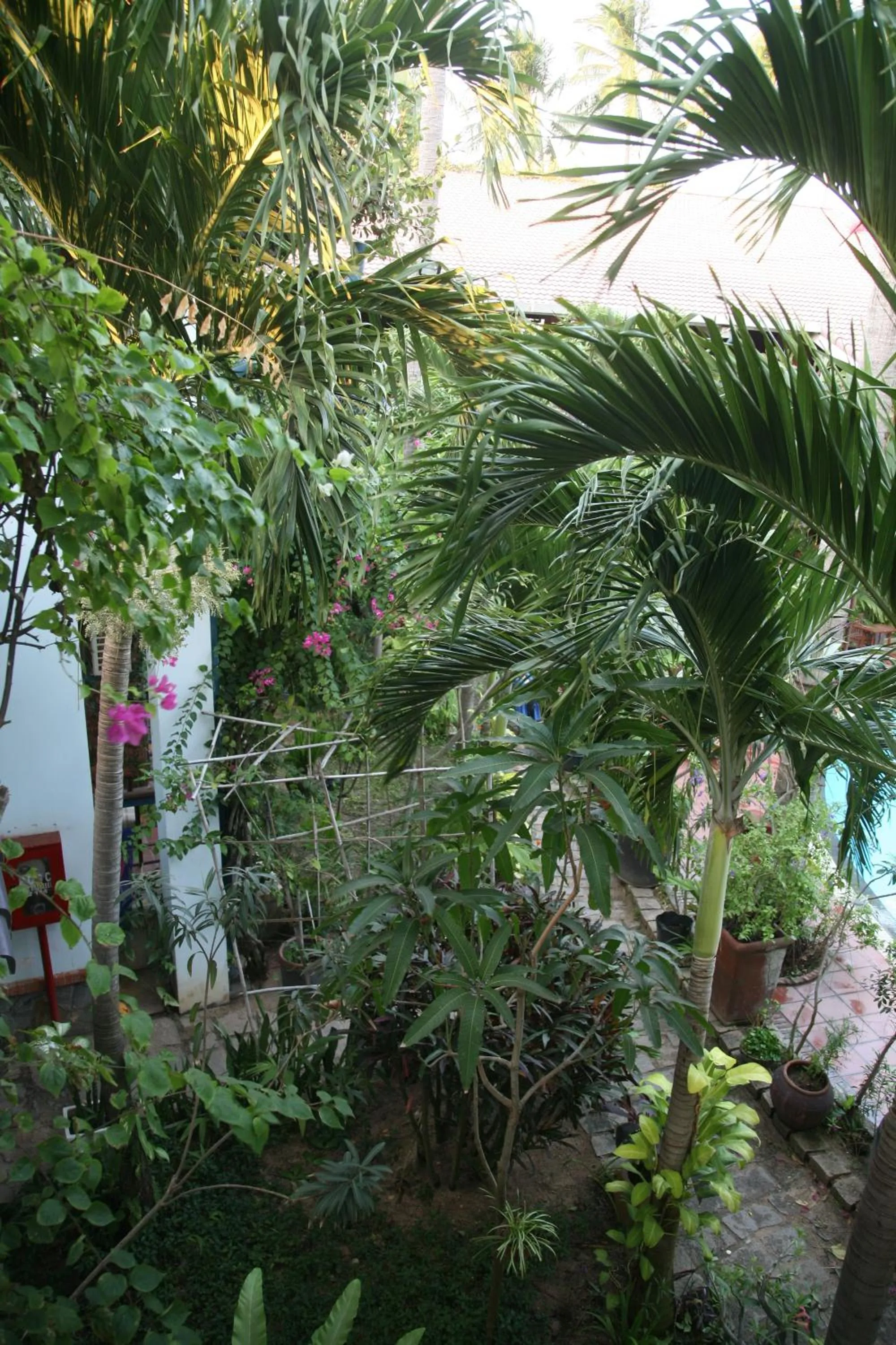 Neighbourhood in Mui Ne Resort