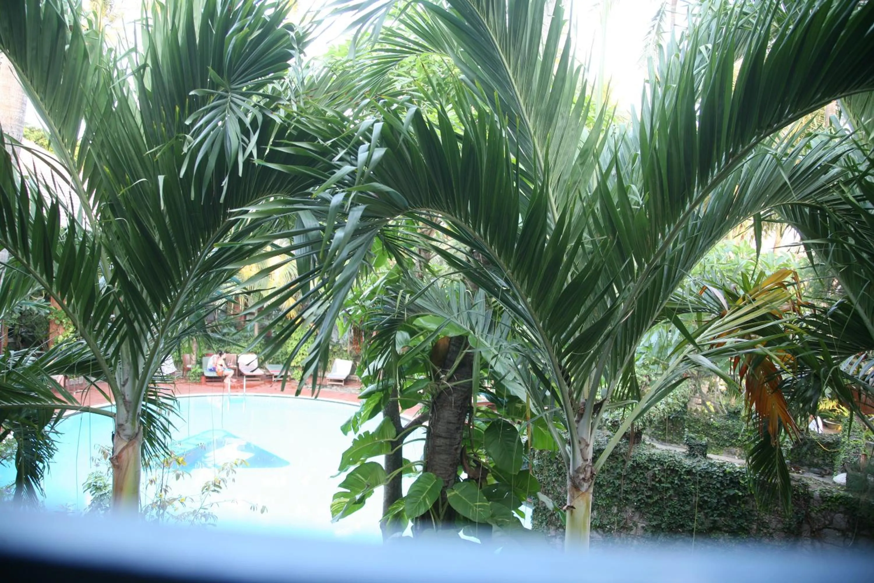 Swimming pool in Mui Ne Resort