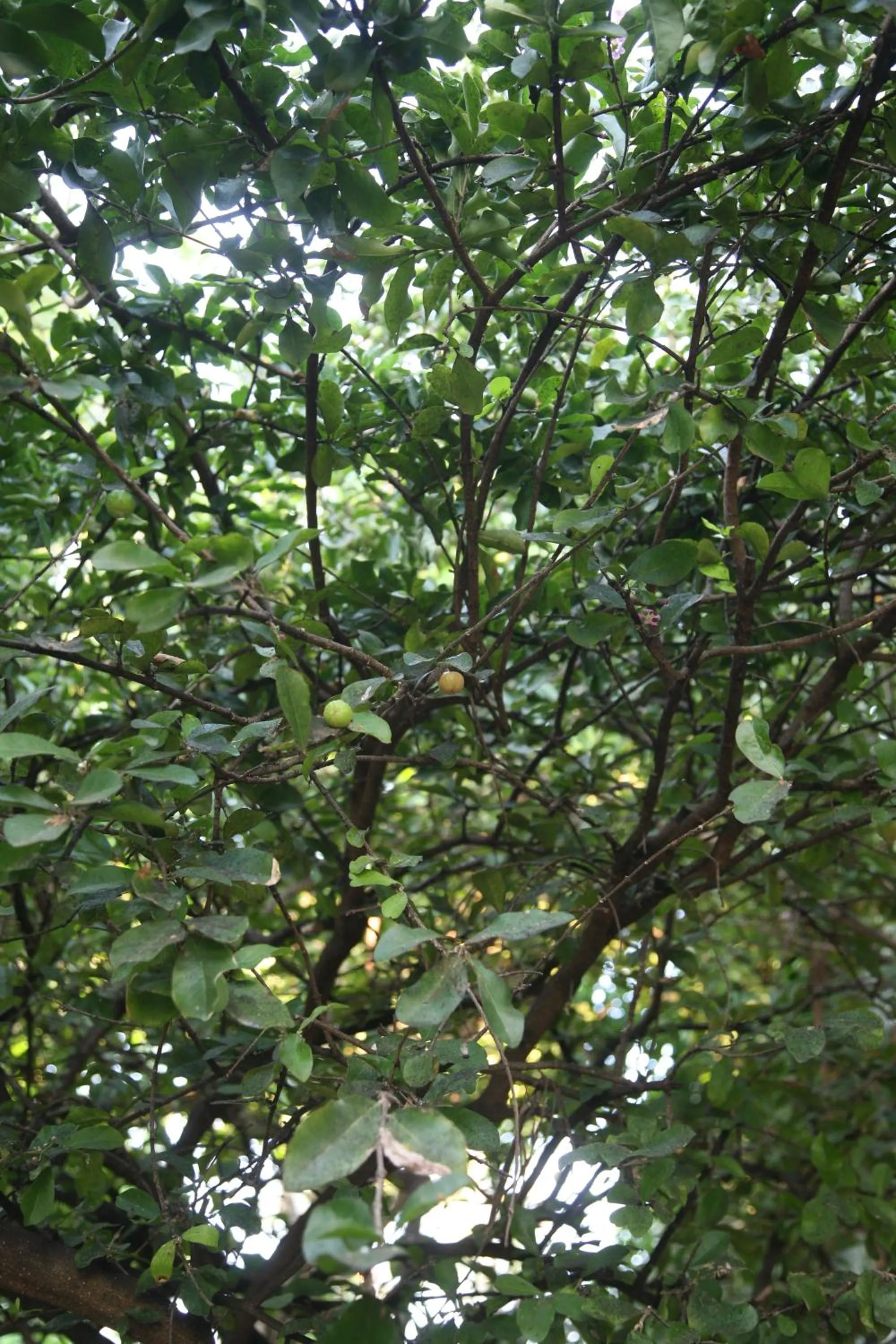 Natural landscape in Mui Ne Resort
