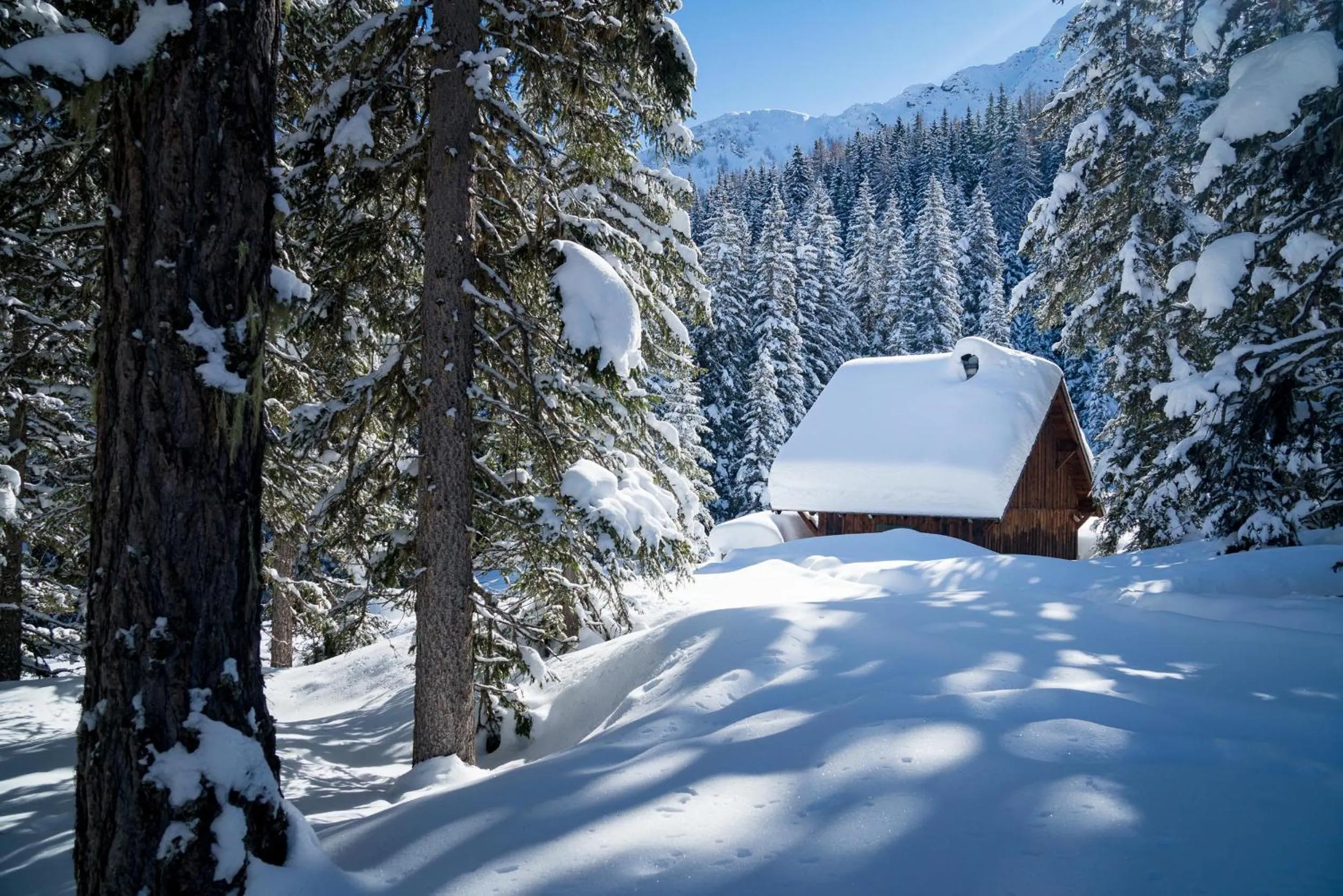 Area and facilities in Johannesbad Hotel Palace