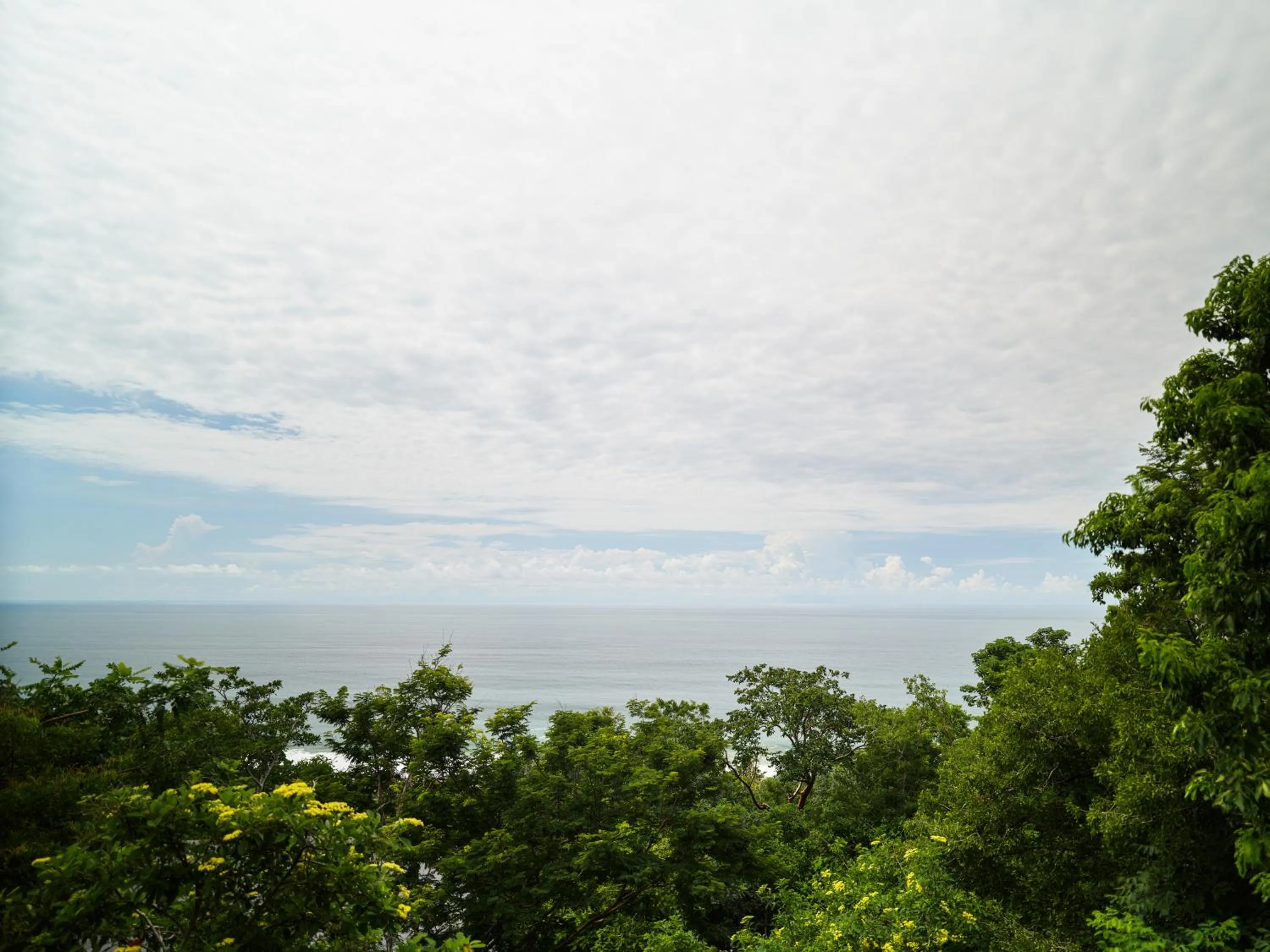 Sea view in Cocolia Hotel