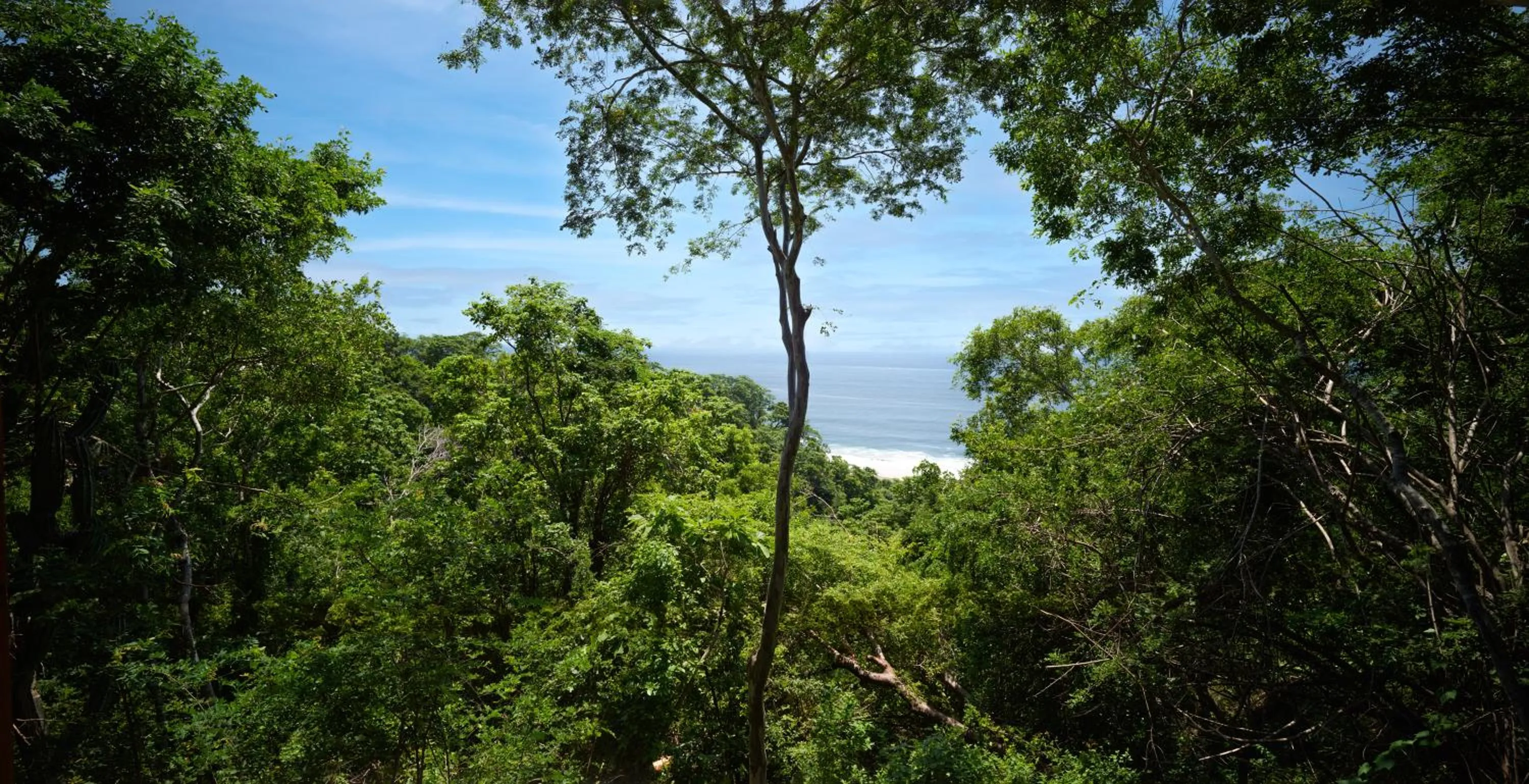 Garden view in Cocolia Hotel