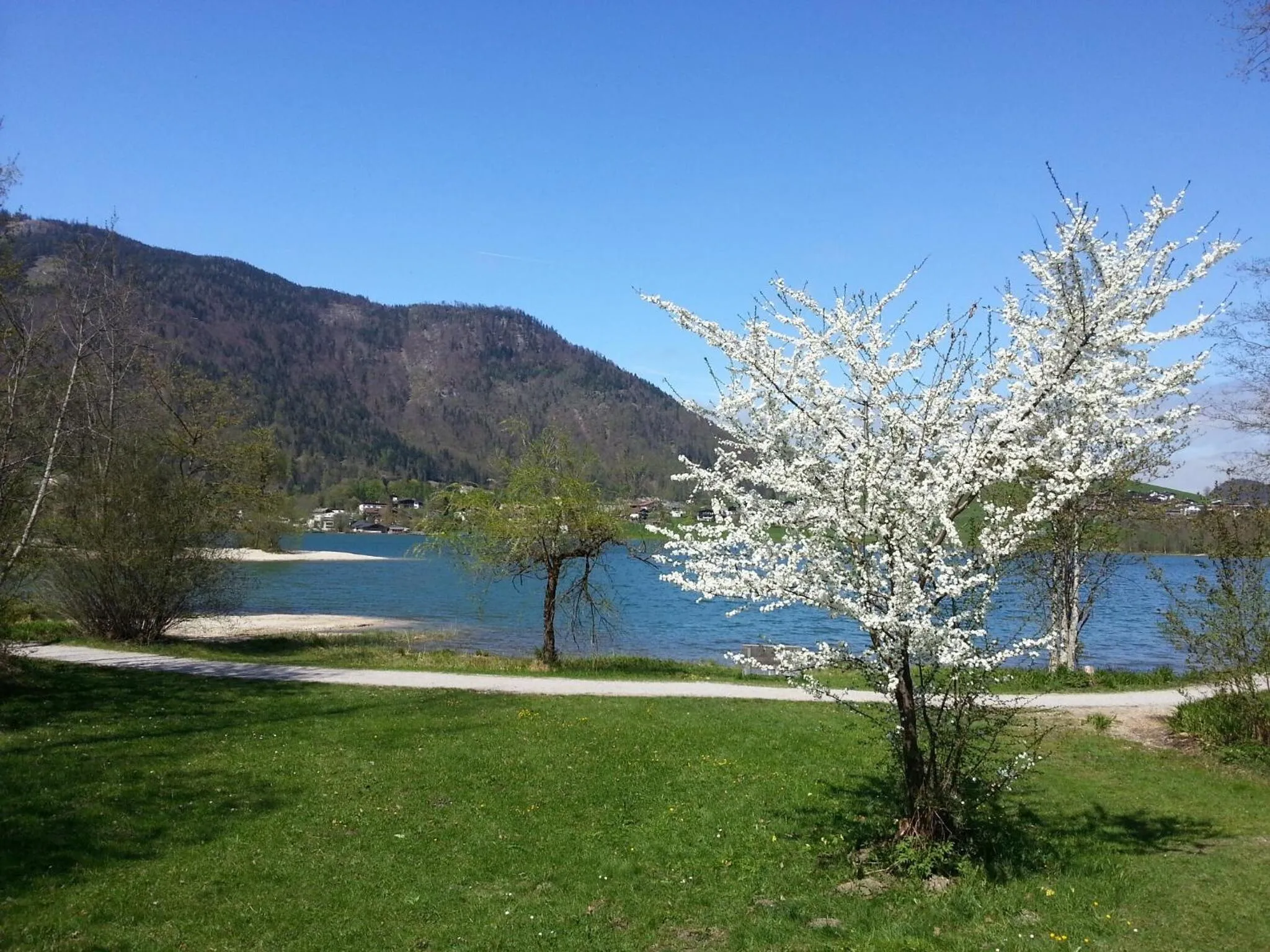 Spring in Aparthotel Buchauer-Tirol