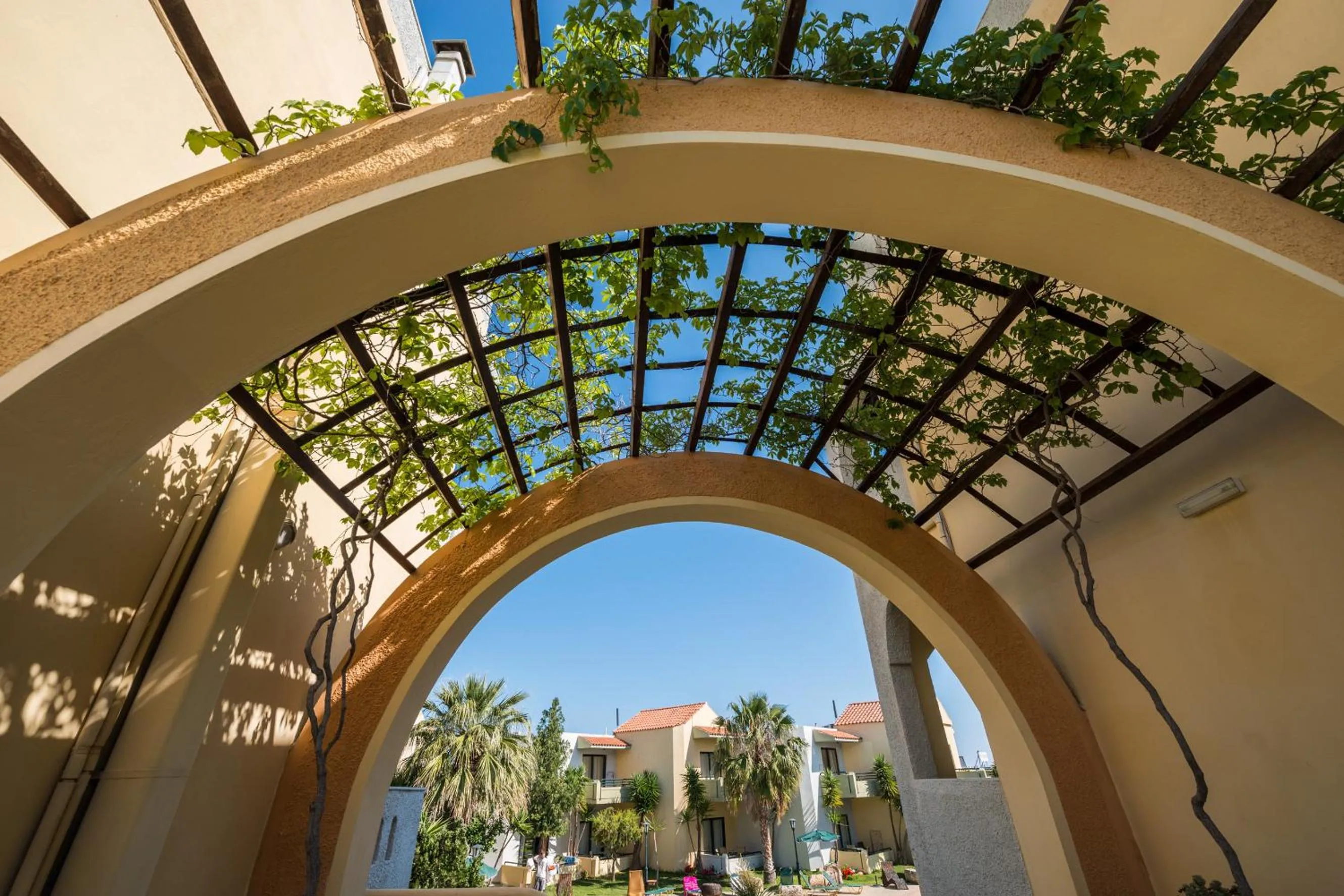 Area and facilities in Nireas Hotel