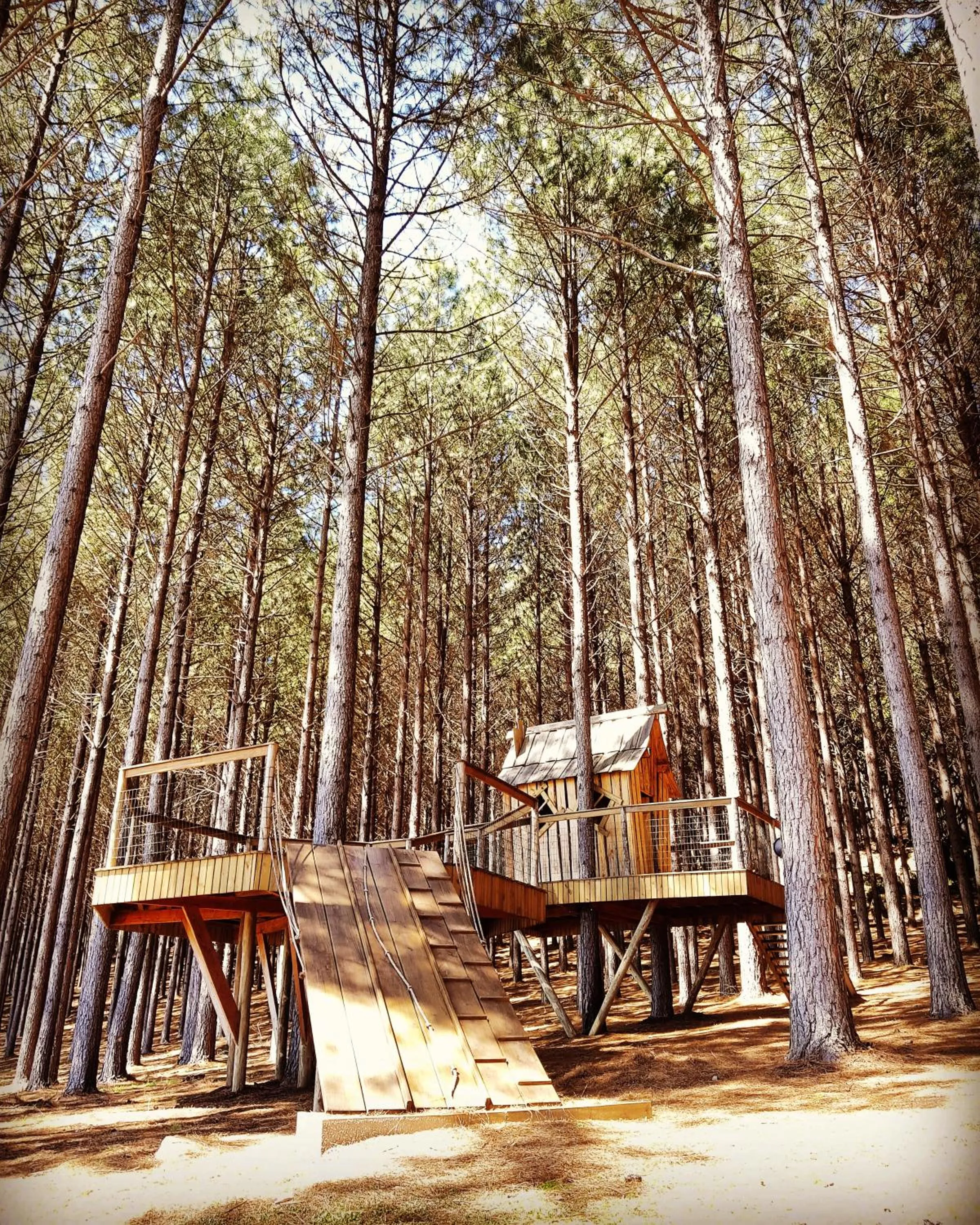 Property building in Tedesco Eco Park