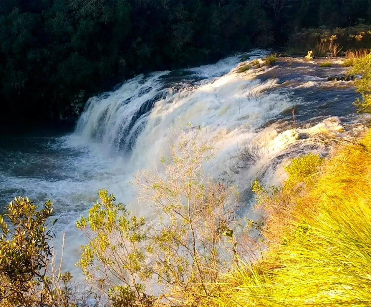 Natural landscape in Tedesco Eco Park