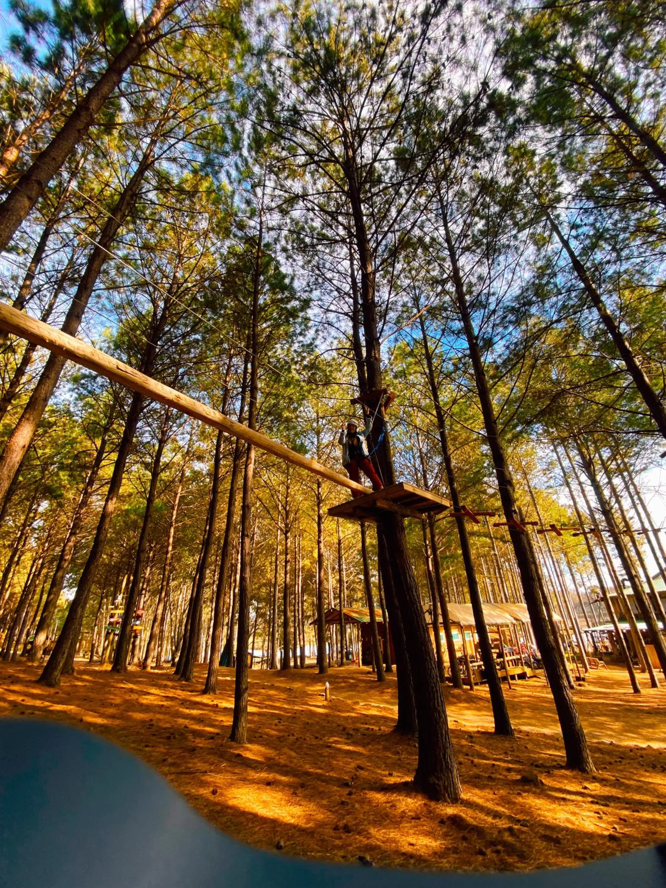 Activities in Tedesco Eco Park