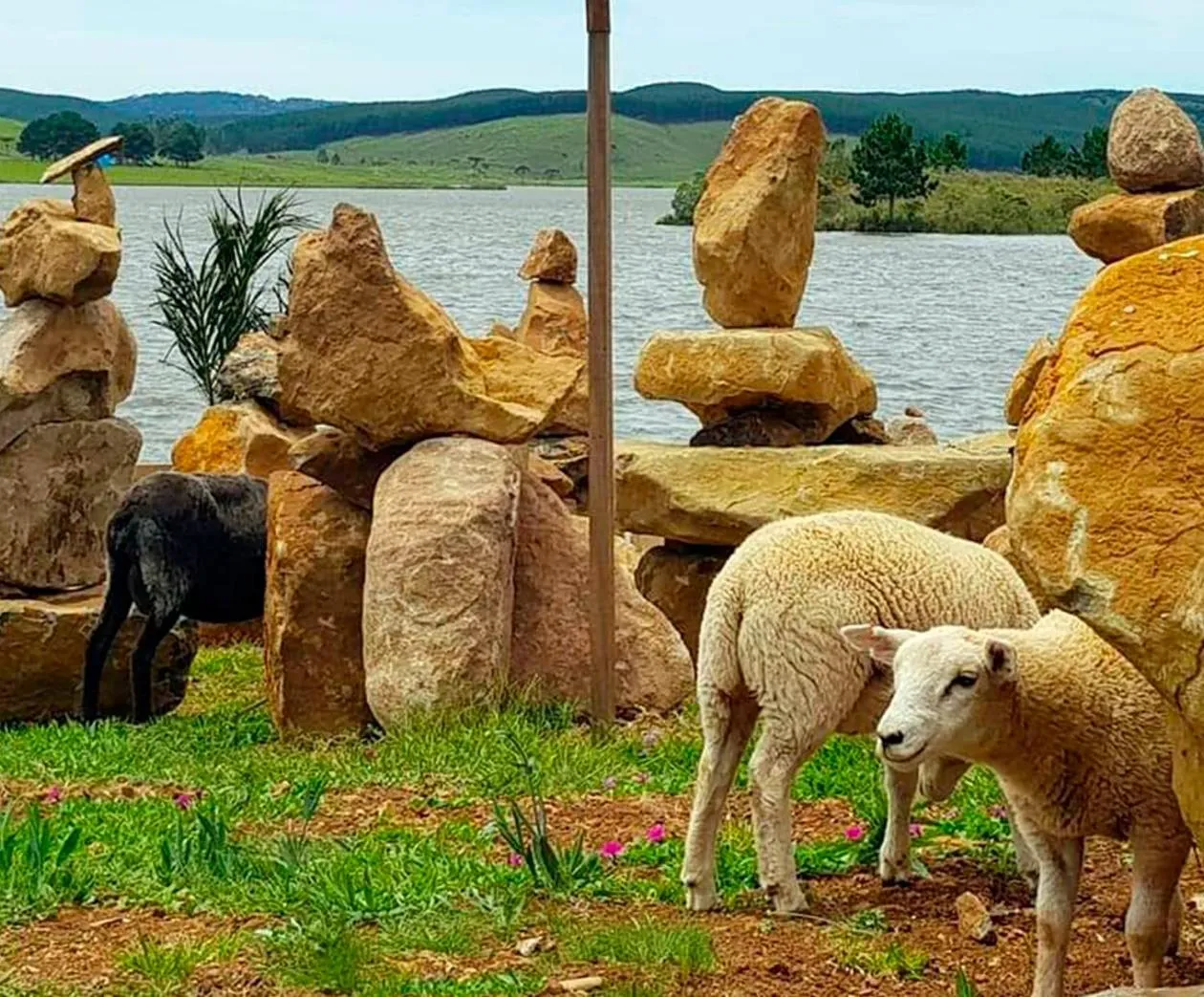 Animals in Tedesco Eco Park