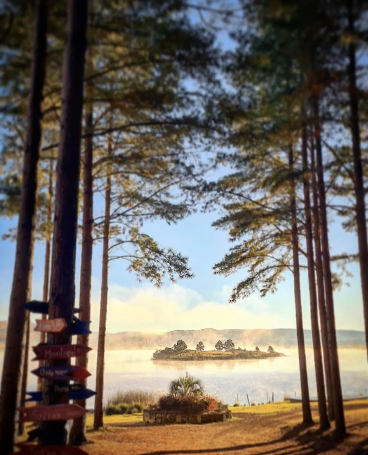 Natural landscape in Tedesco Eco Park