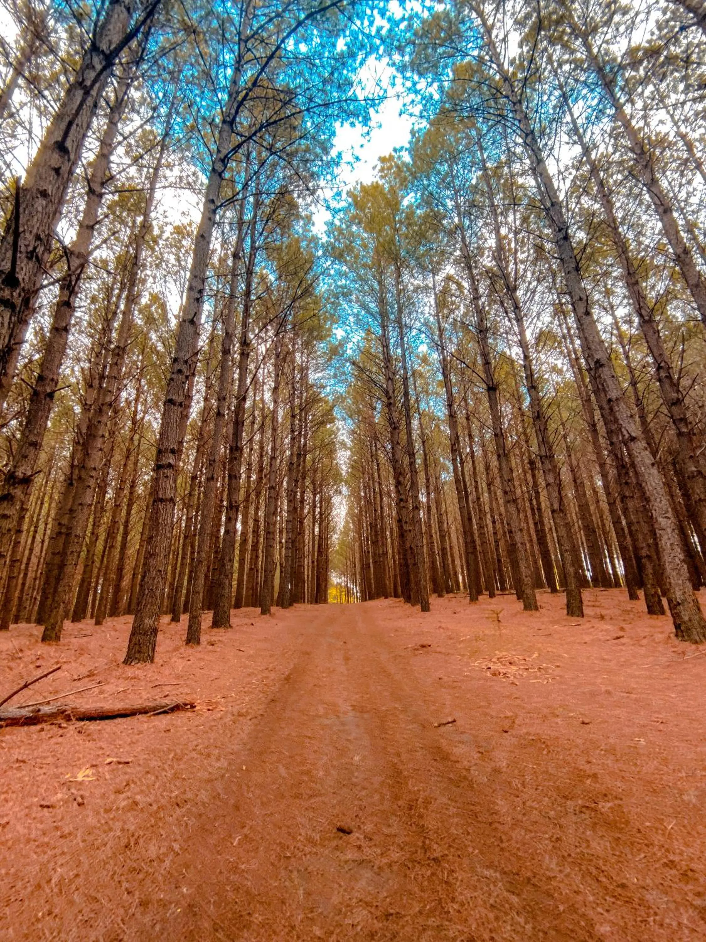 Natural landscape in Tedesco Eco Park