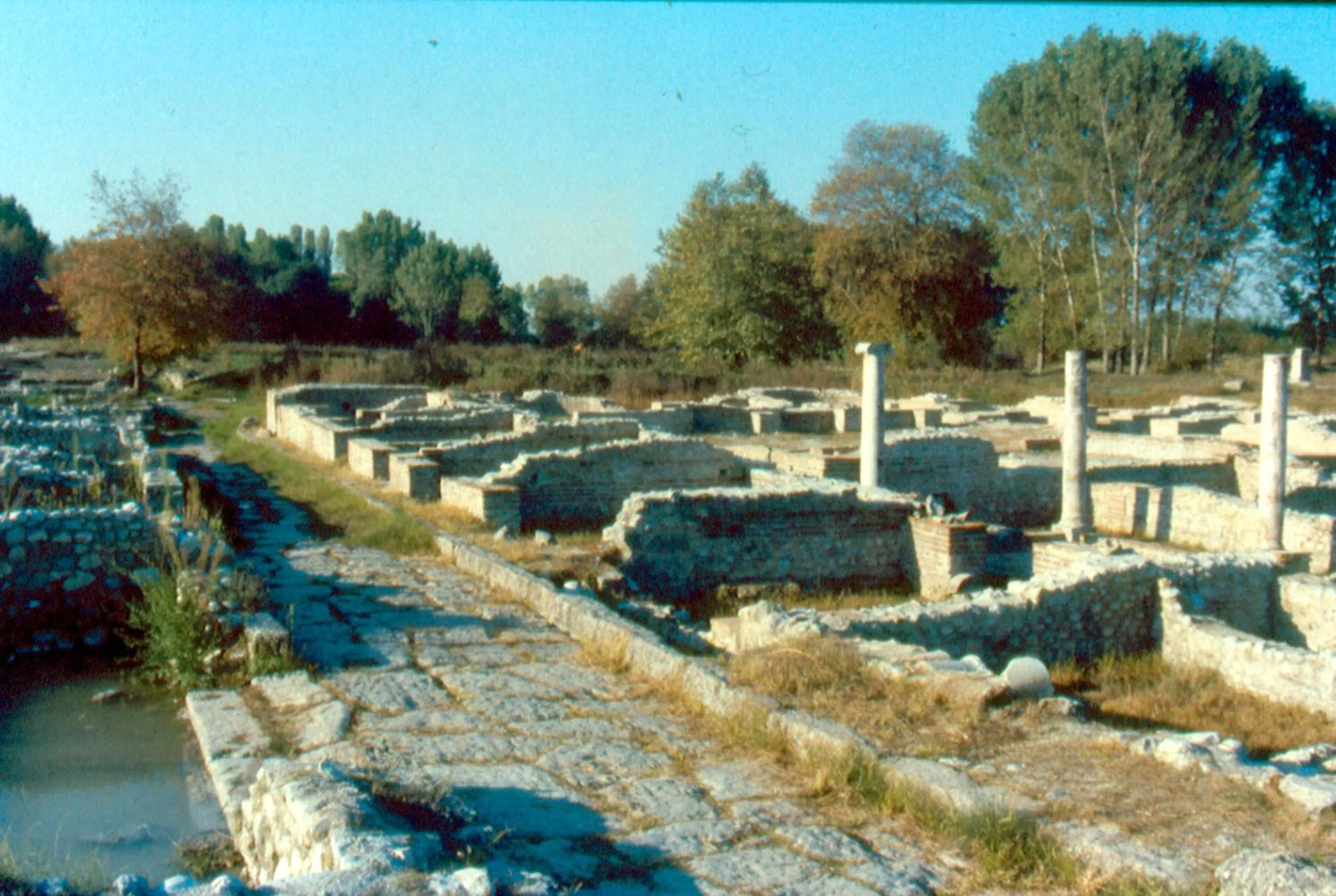 Landmark view in Hotel Platon Beach