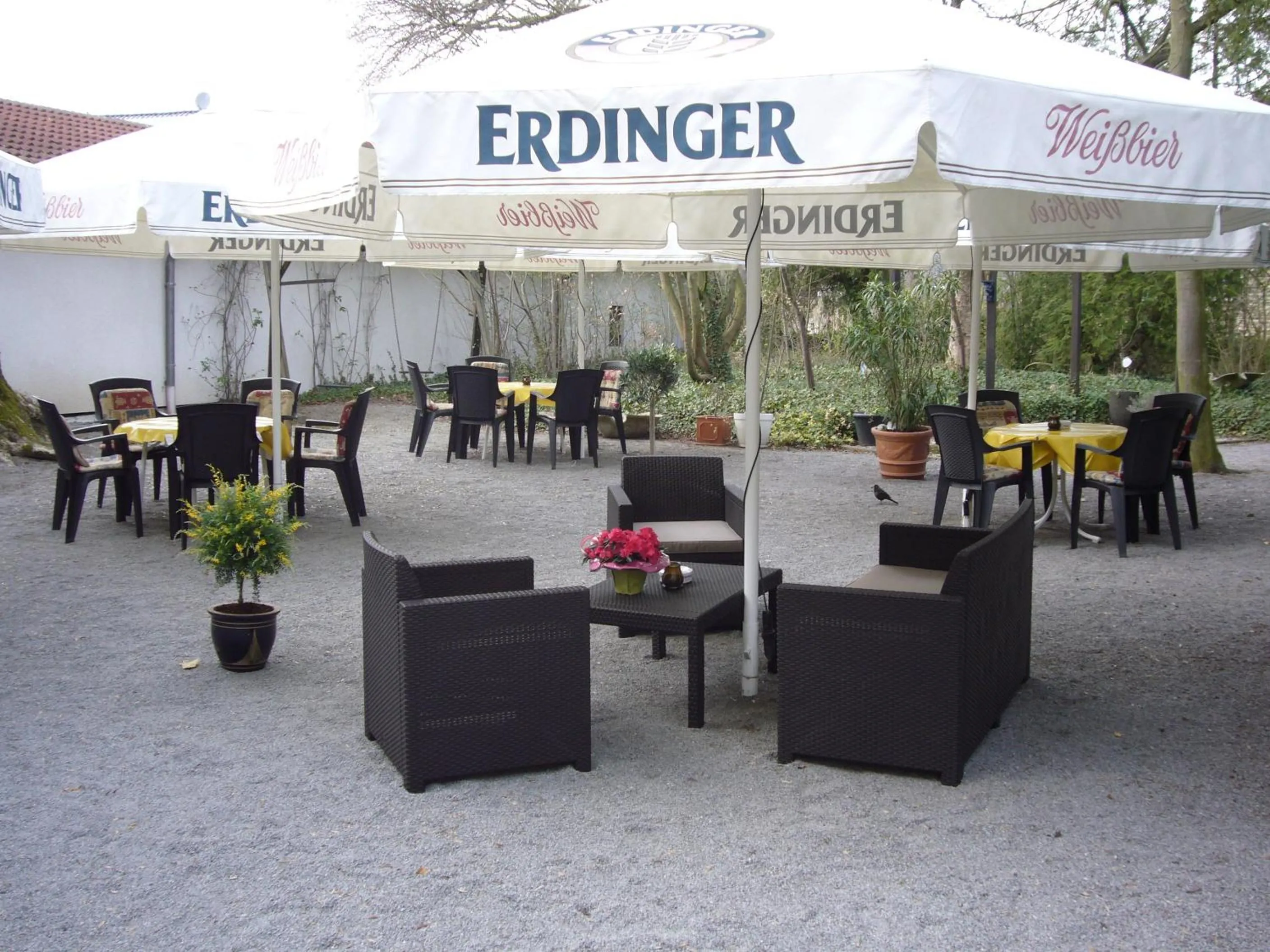 Lounge or bar in Ackfeld Hotel-Restaurant