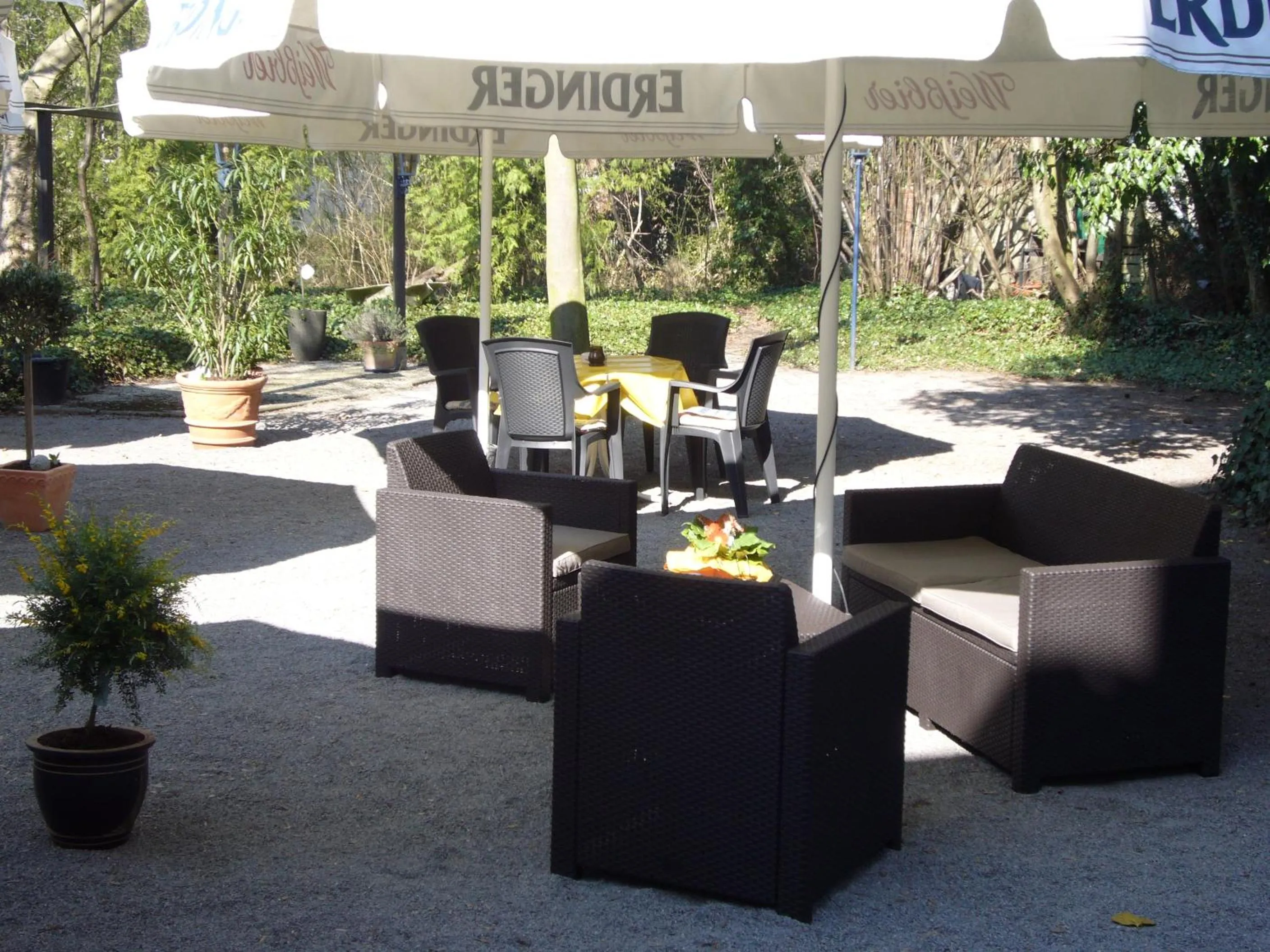 Lounge or bar in Ackfeld Hotel-Restaurant