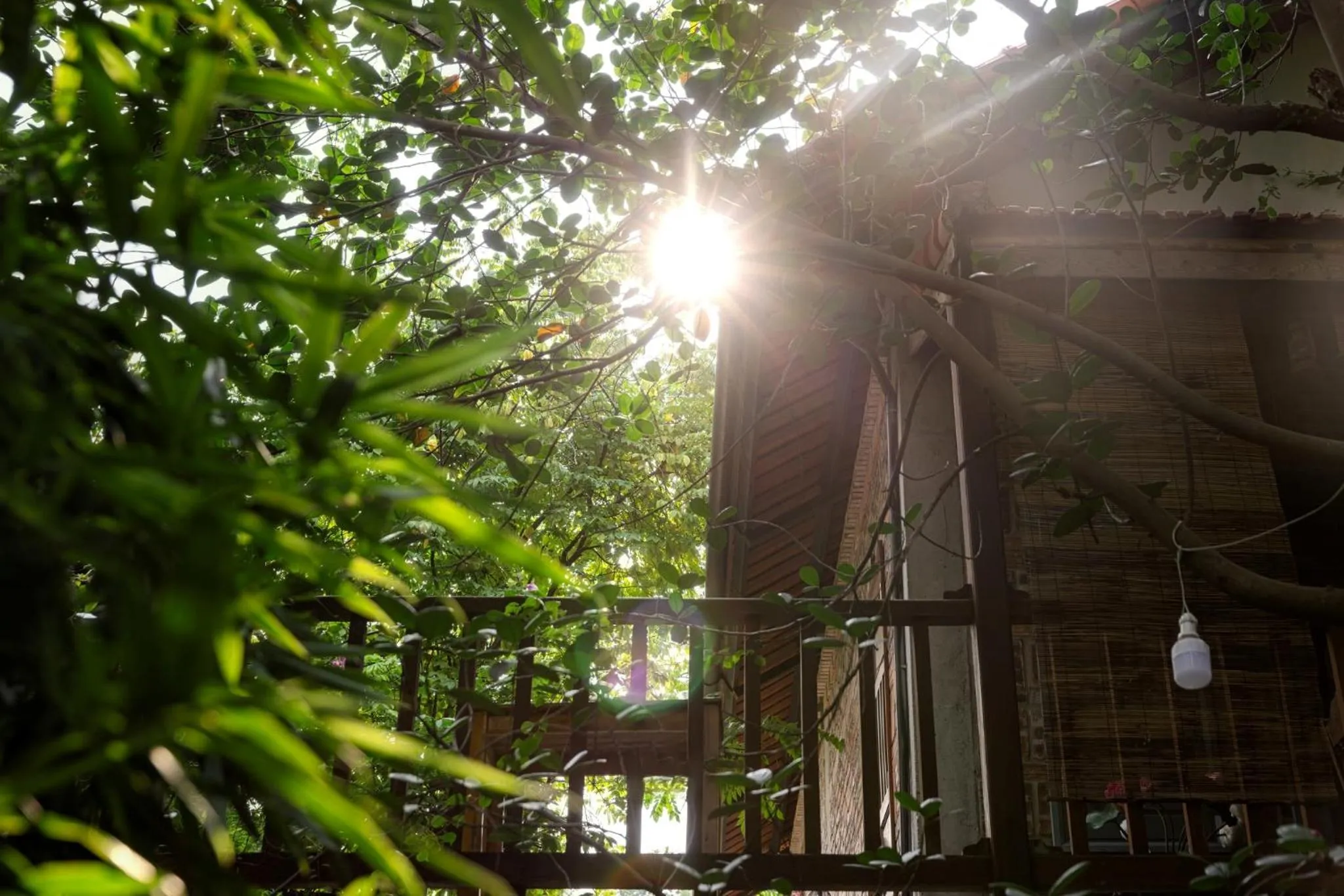 Garden in LittleTamCoc Boutique Villa Ninh Binh