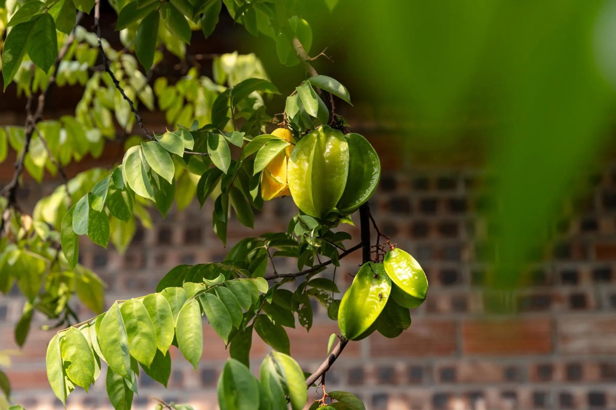 Garden view in LittleTamCoc Boutique Villa Ninh Binh