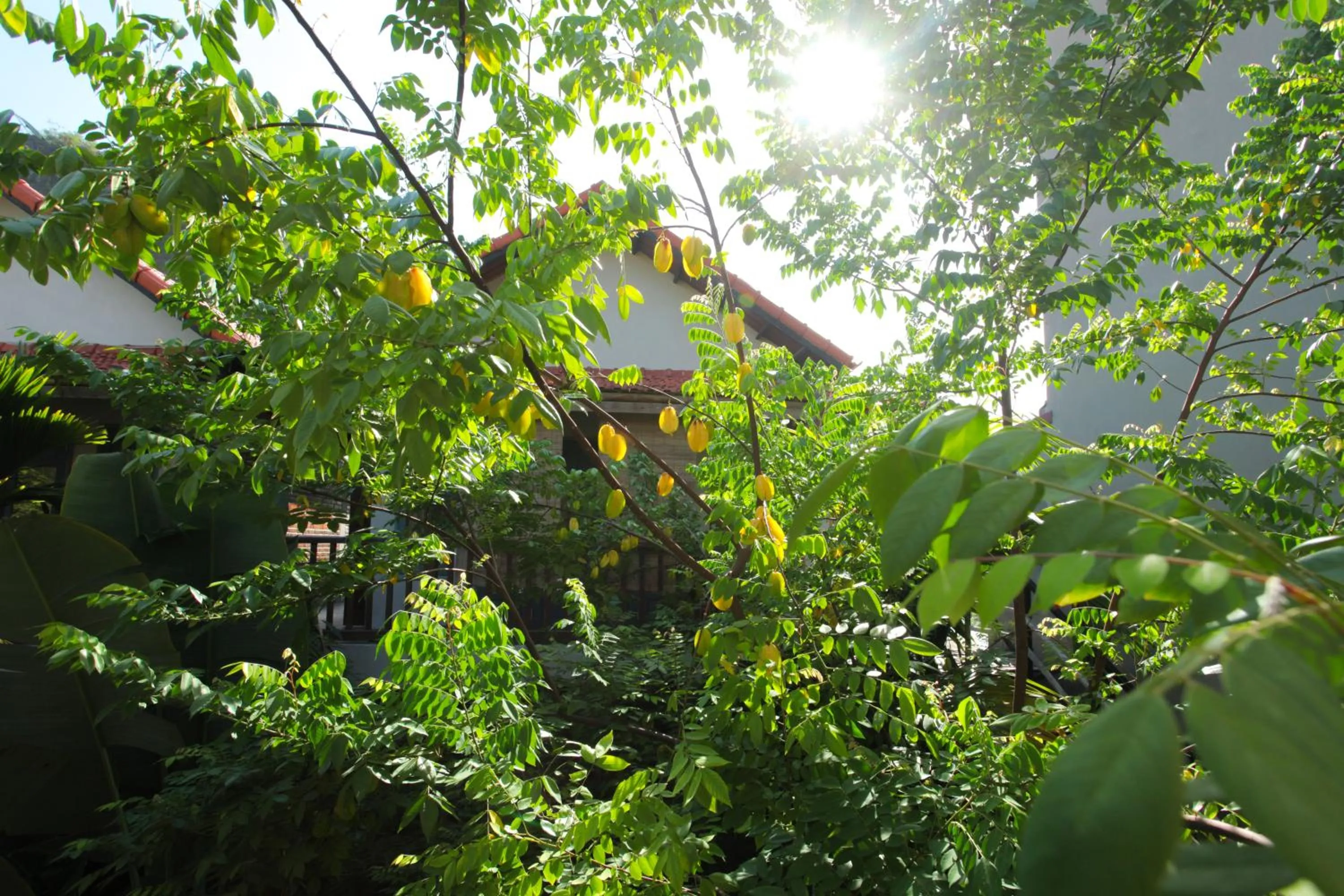 Property building in LittleTamCoc Boutique Villa Ninh Binh