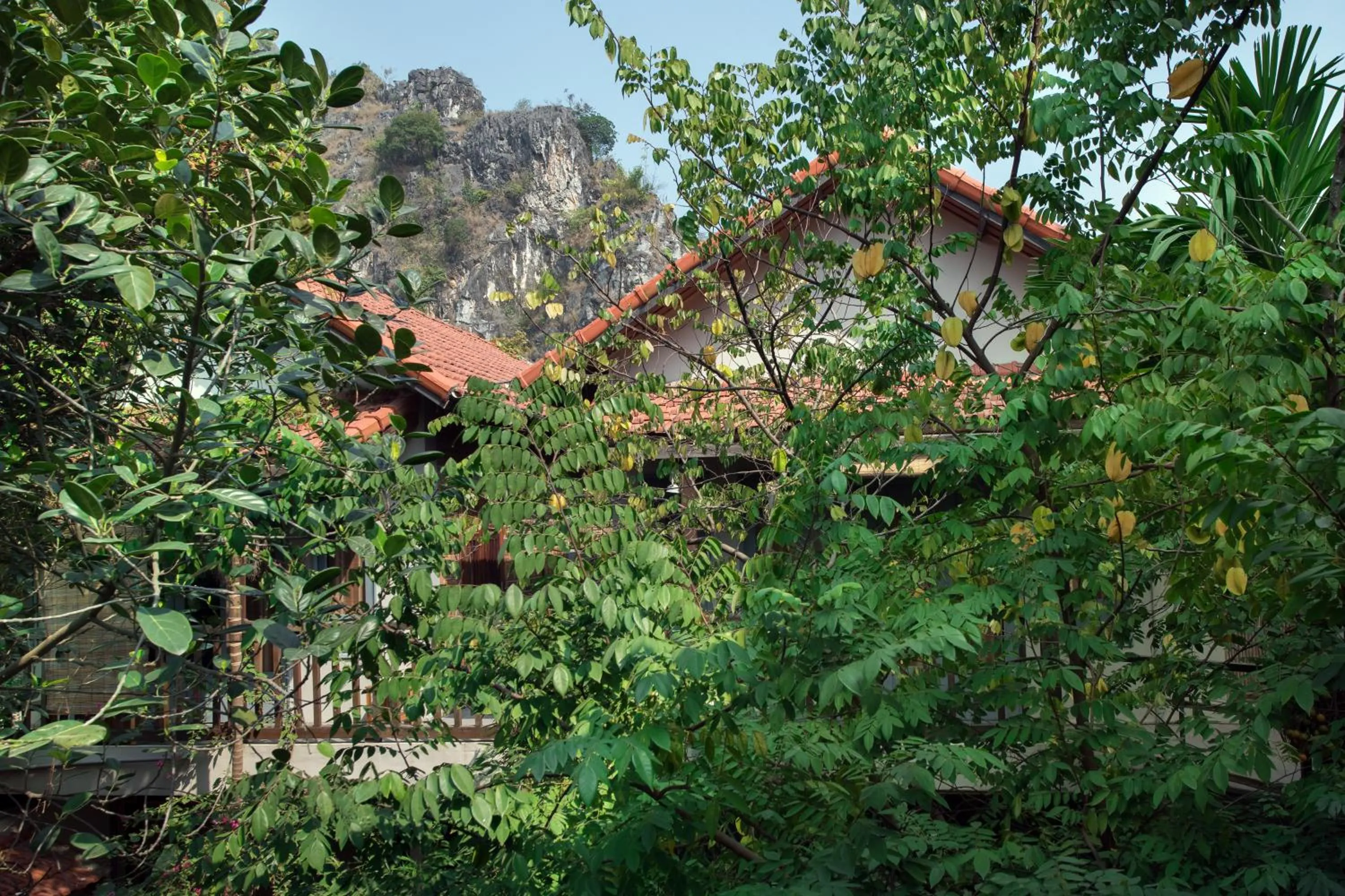 Balcony/Terrace in LittleTamCoc Boutique Villa Ninh Binh