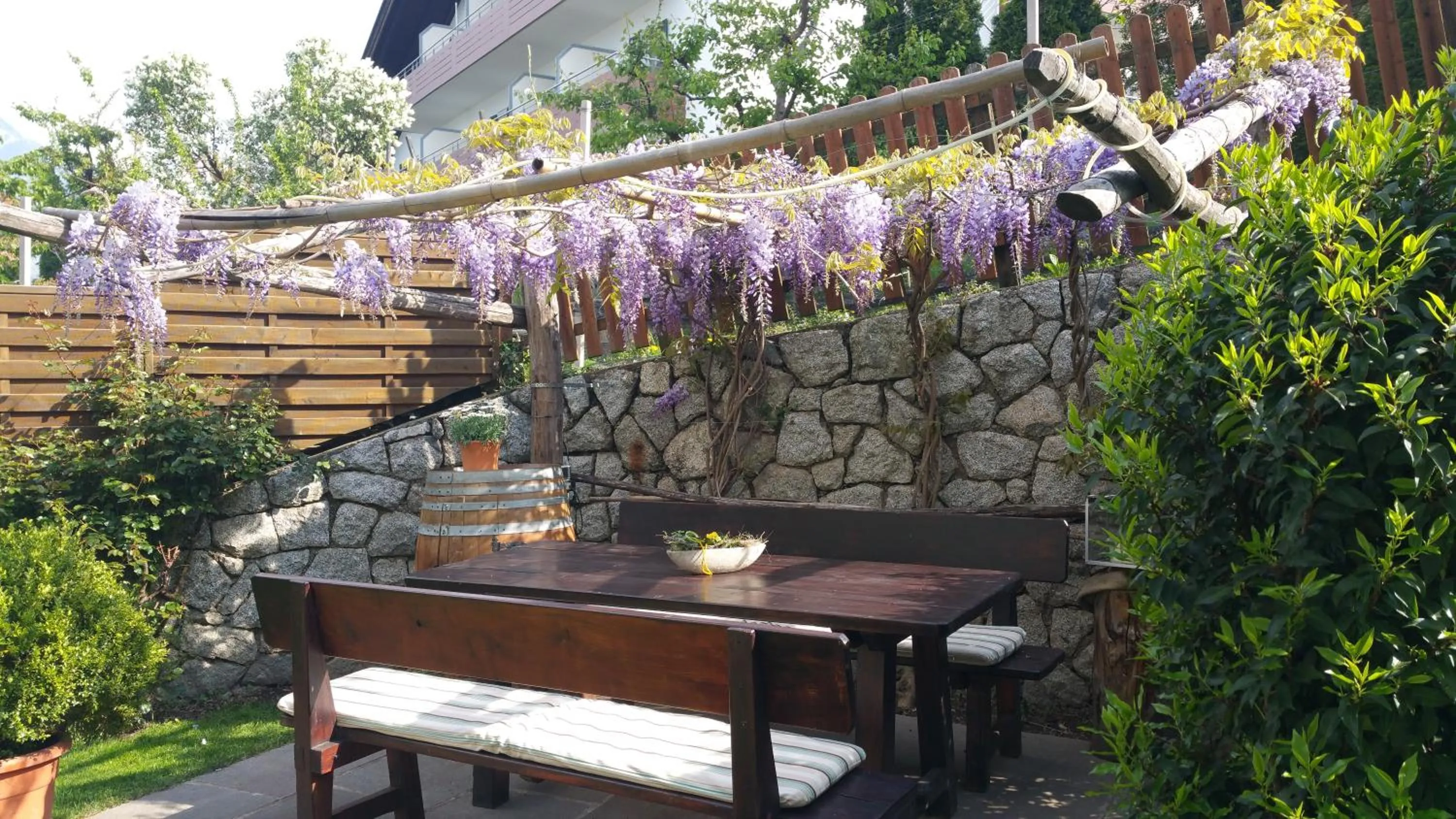 Garden in Appartment Maria