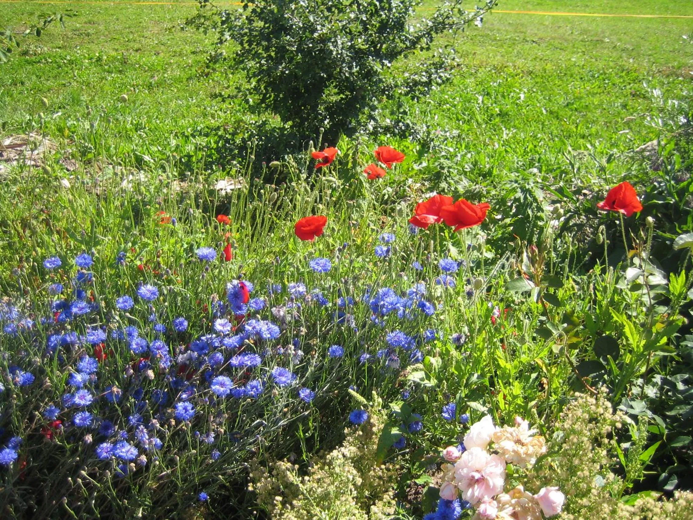 Hiking in Appartment Maria